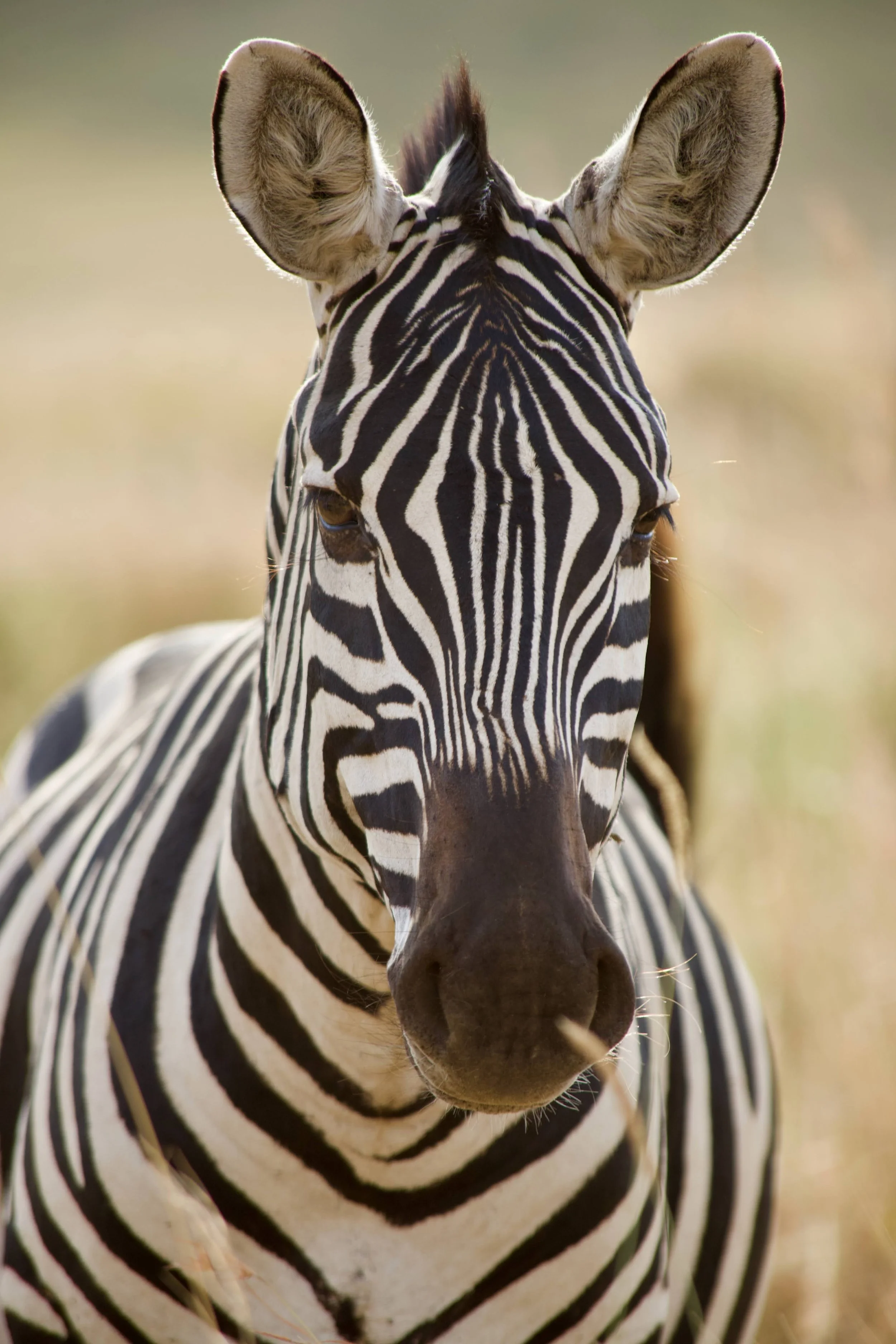 Africa 2022 - 76 of 140.jpeg