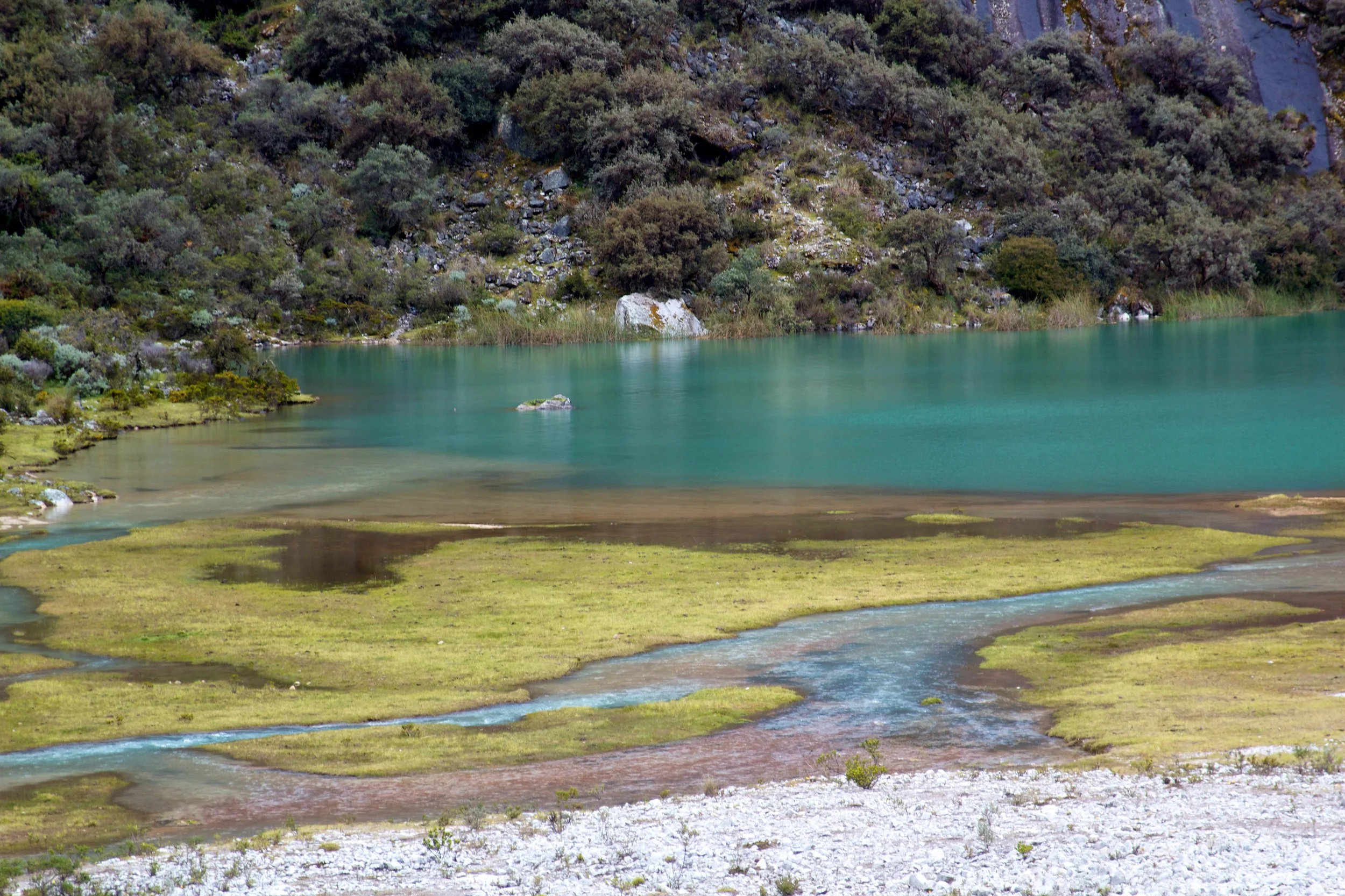 2011-03-25MELTflagged 95.jpg