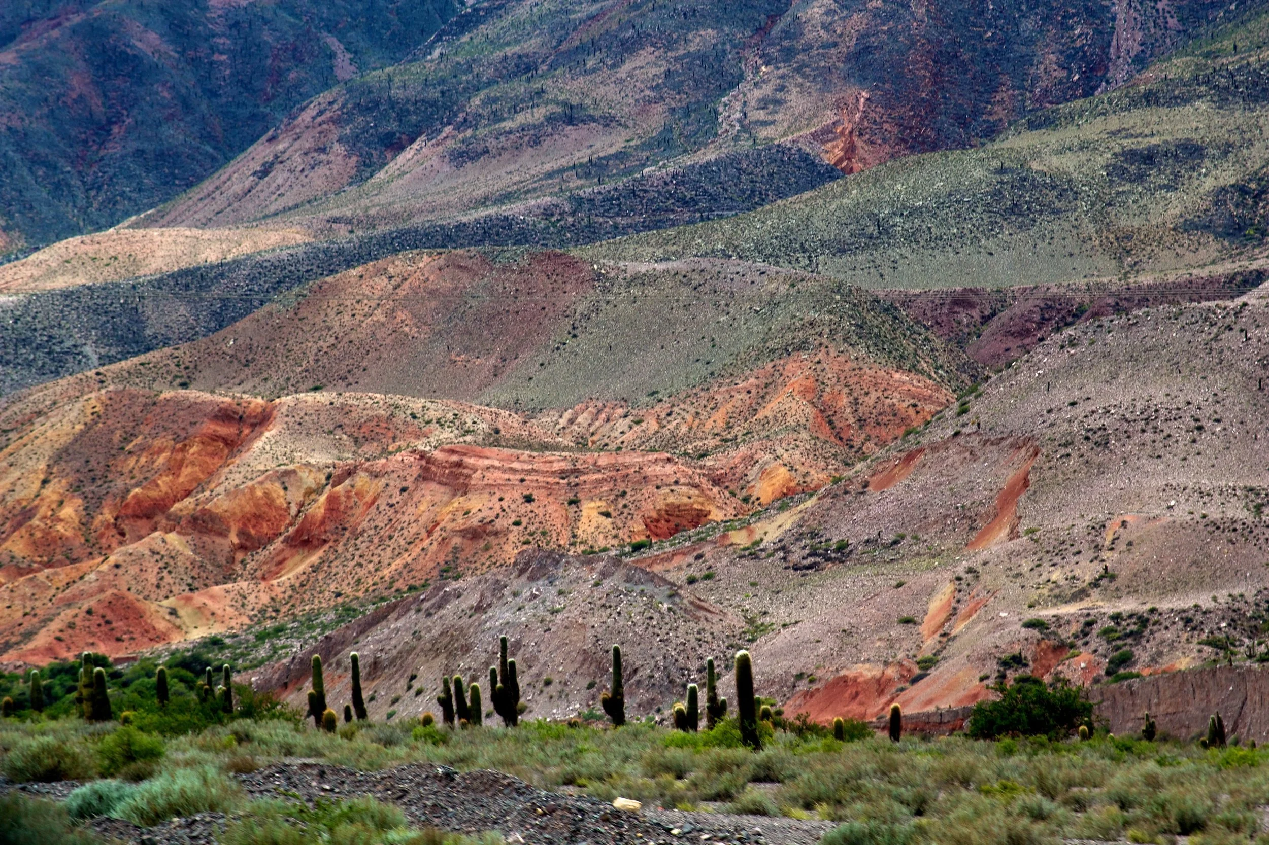 2011-02-16MELT 116.jpg