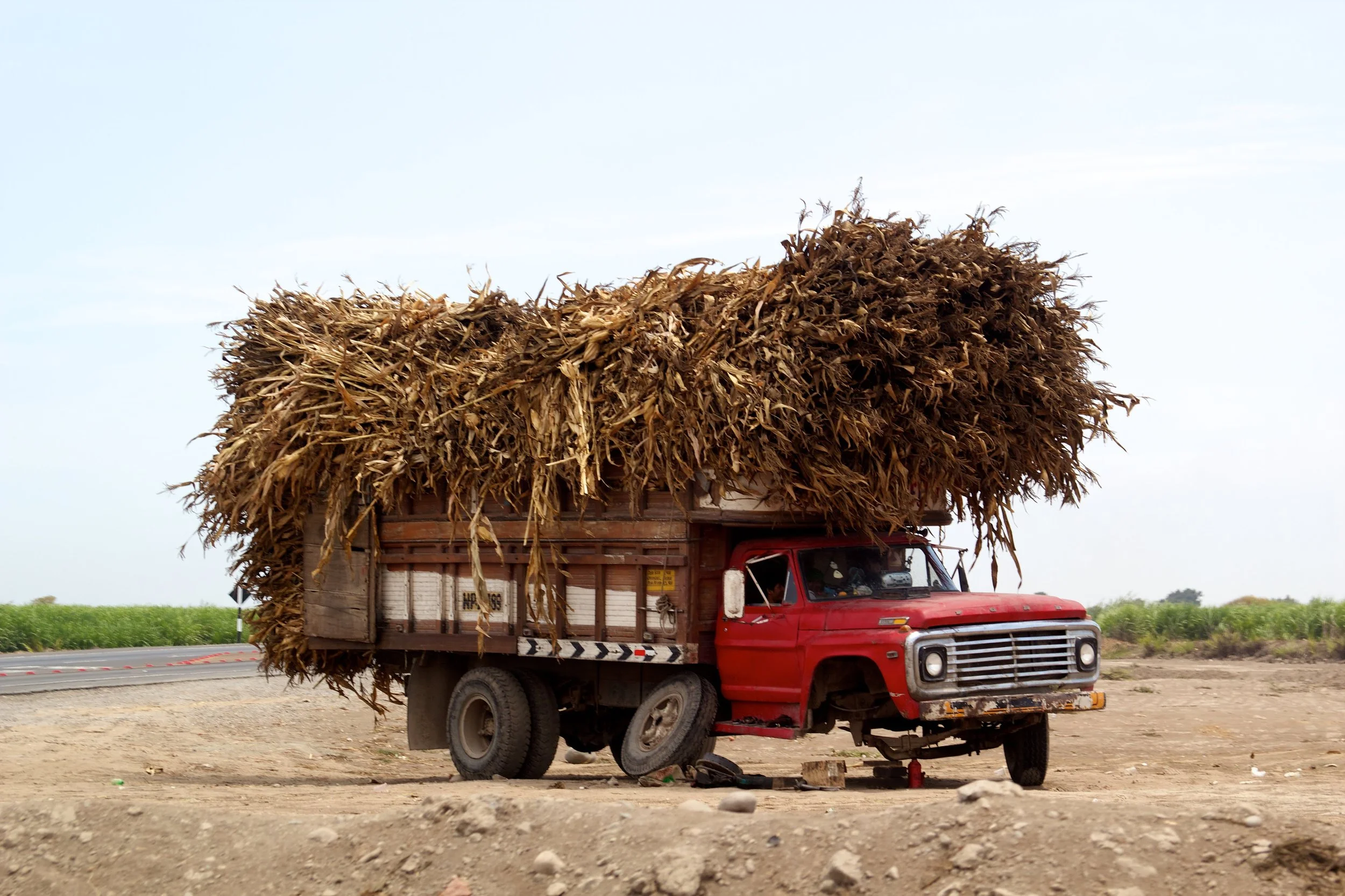 2011-03-22MELTflagged 88.jpg