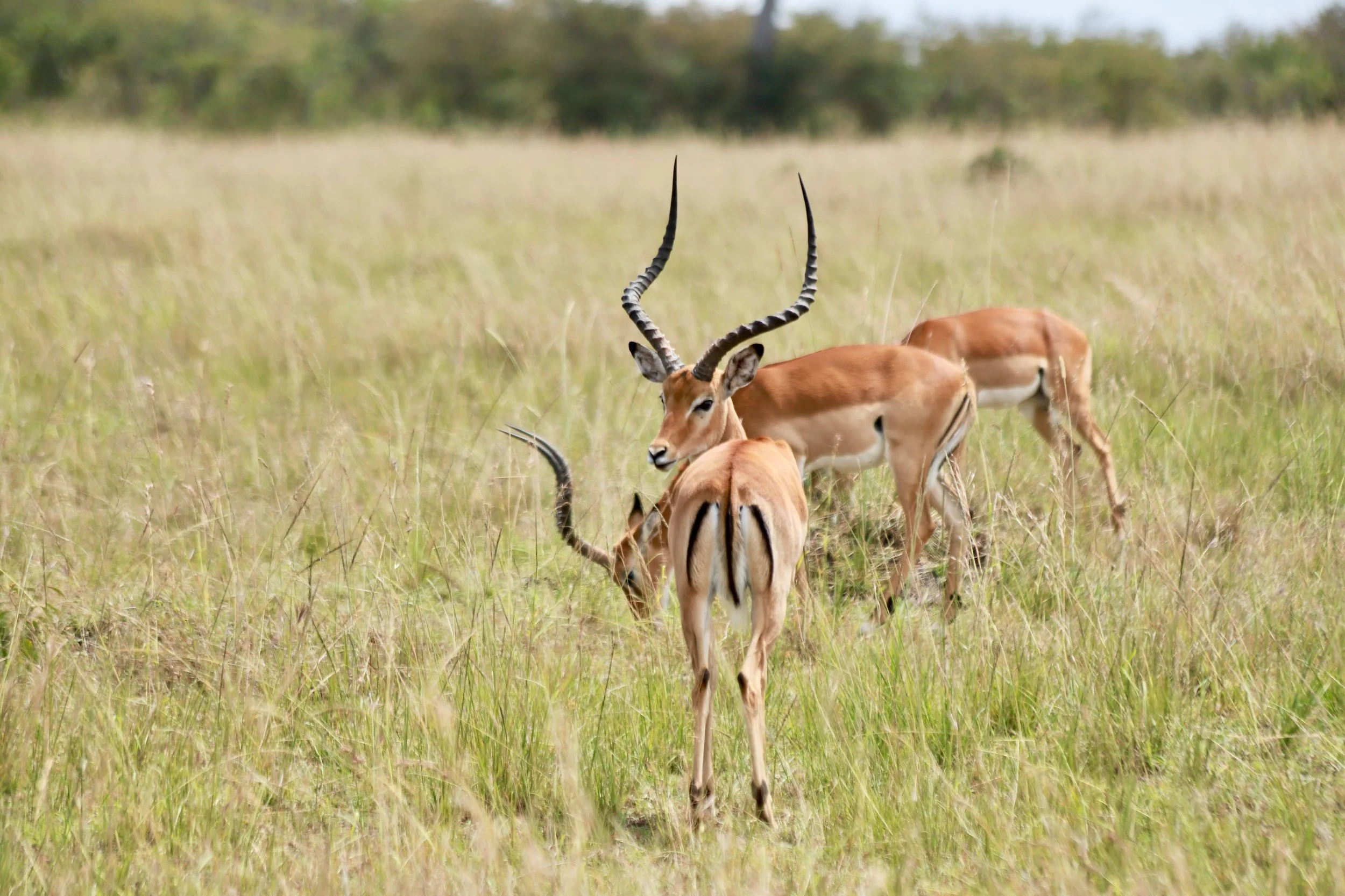 Africa 2022 - 105 of 140.jpeg