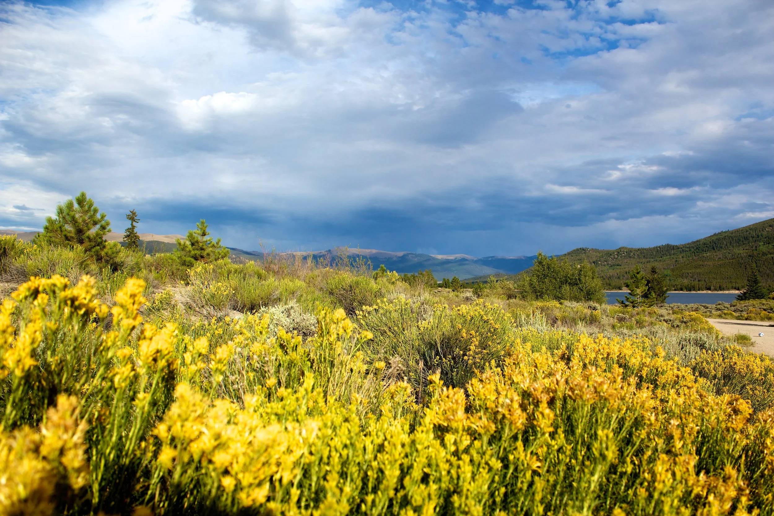 2011-08-18MELTflagged 586.jpg