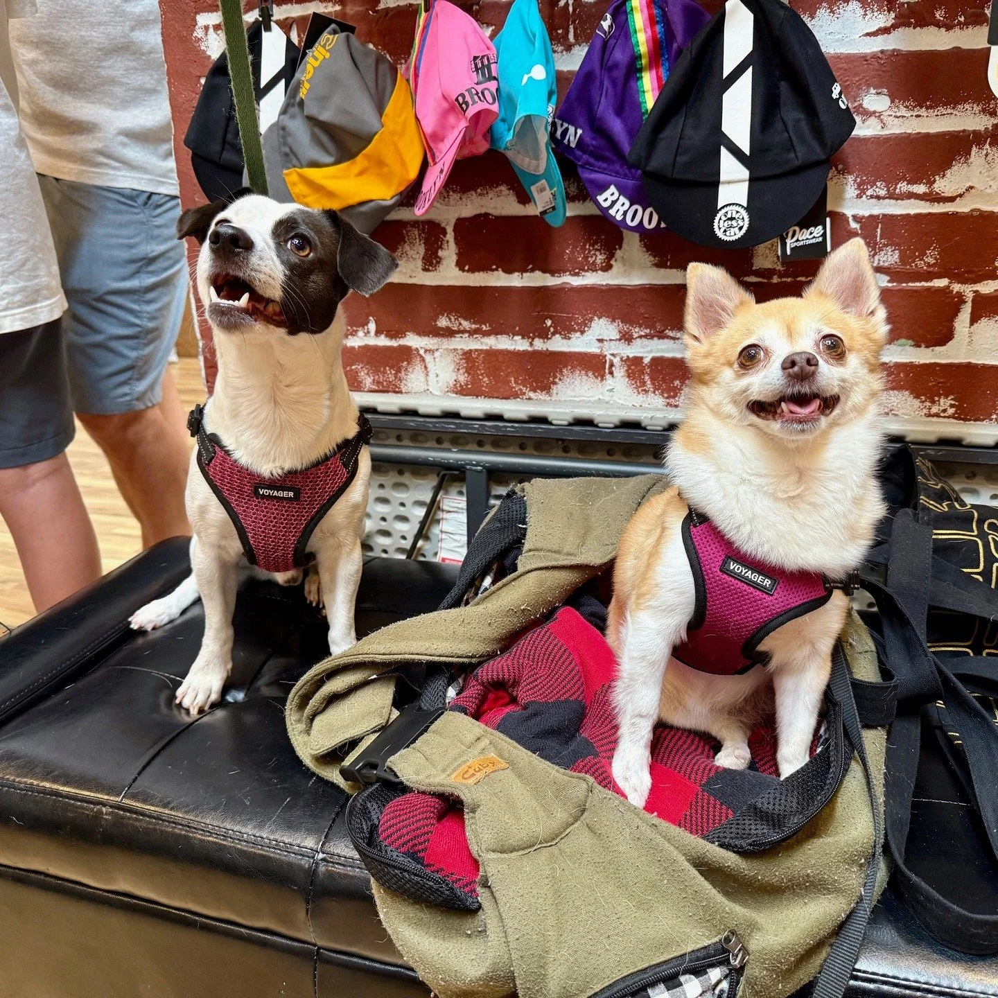 Not that we regularly keep track - but, cutest customers ever!