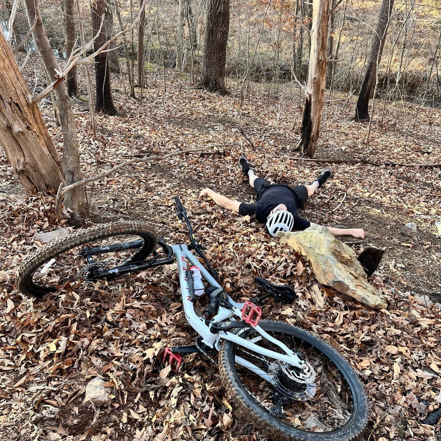 Please check the leaf litter for Dave before beginning the ride.
