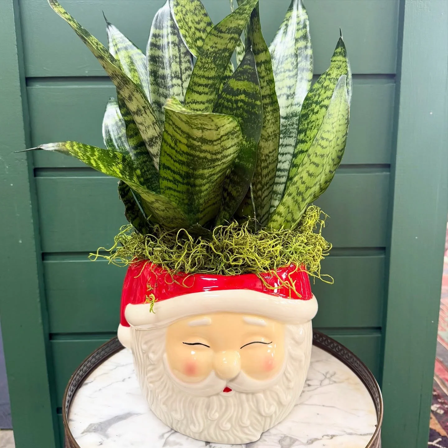 We are getting into the holiday spirit! We have these ADORABLE ceramic Santa planters/bowls. Use for a cache pot for your plant for a cute tabletop or centerpiece or use as a serving dish for holiday meals! We have two sizes! 4” + 6”