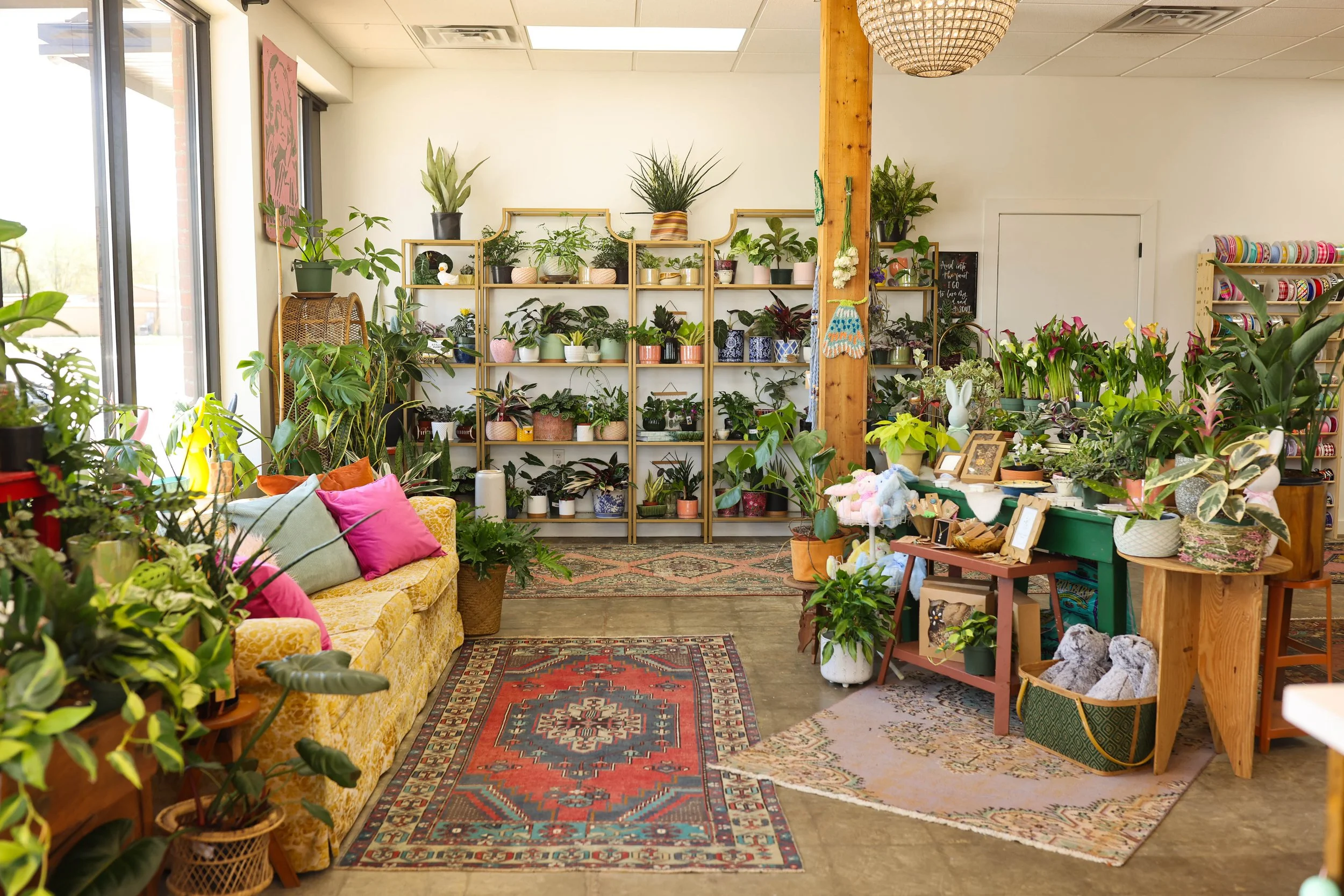 Interior of a plant shop with shelves full of potted plants, a vintage yellow sofa with pink and green pillows, colorful rugs on the floor, and various decorative items on tables and walls.
