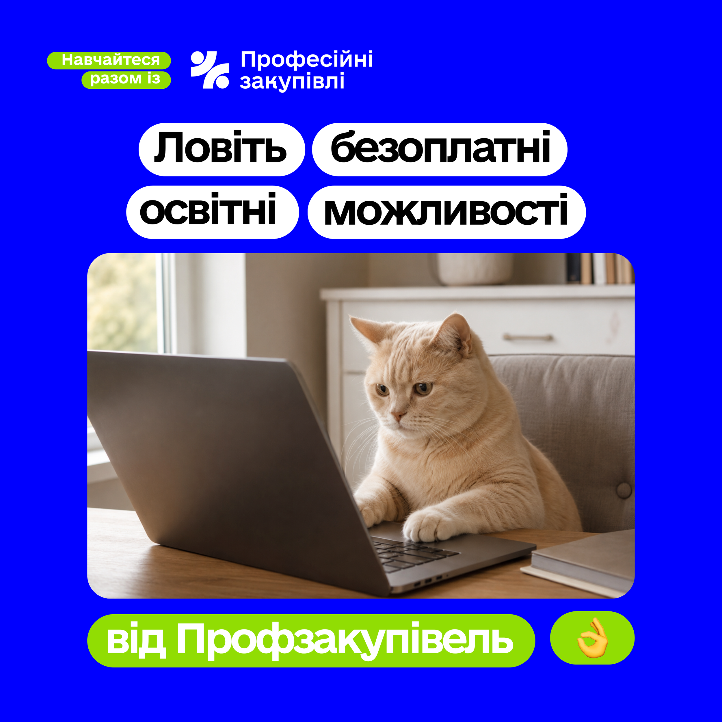 Профзакупівлі провели вебінар про безоплатні освітні можливості для закупівельників