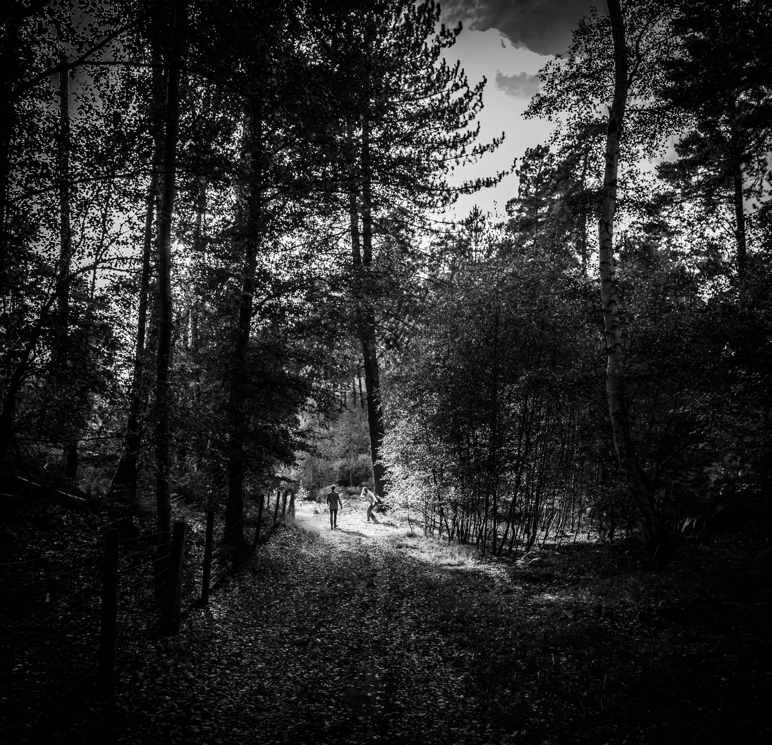 James Polley Photography-9.jpg