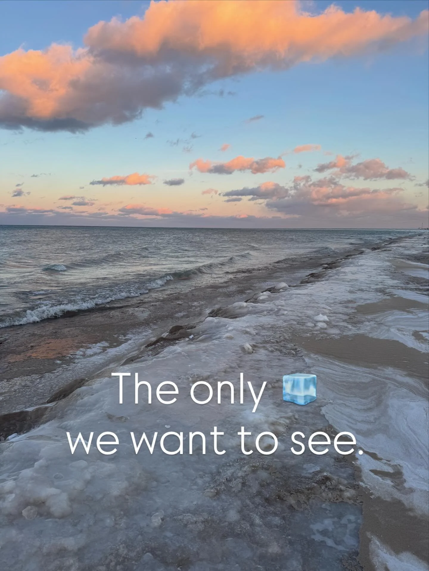 In solidarity with the nationwide ICE OUT general strike happening Friday, January 30th, we will be donating 30% of Friday&rsquo;s proceeds to @icirr_il 

We recognize that our business provides a reprieve from the constant barrage of bad news. We&rs