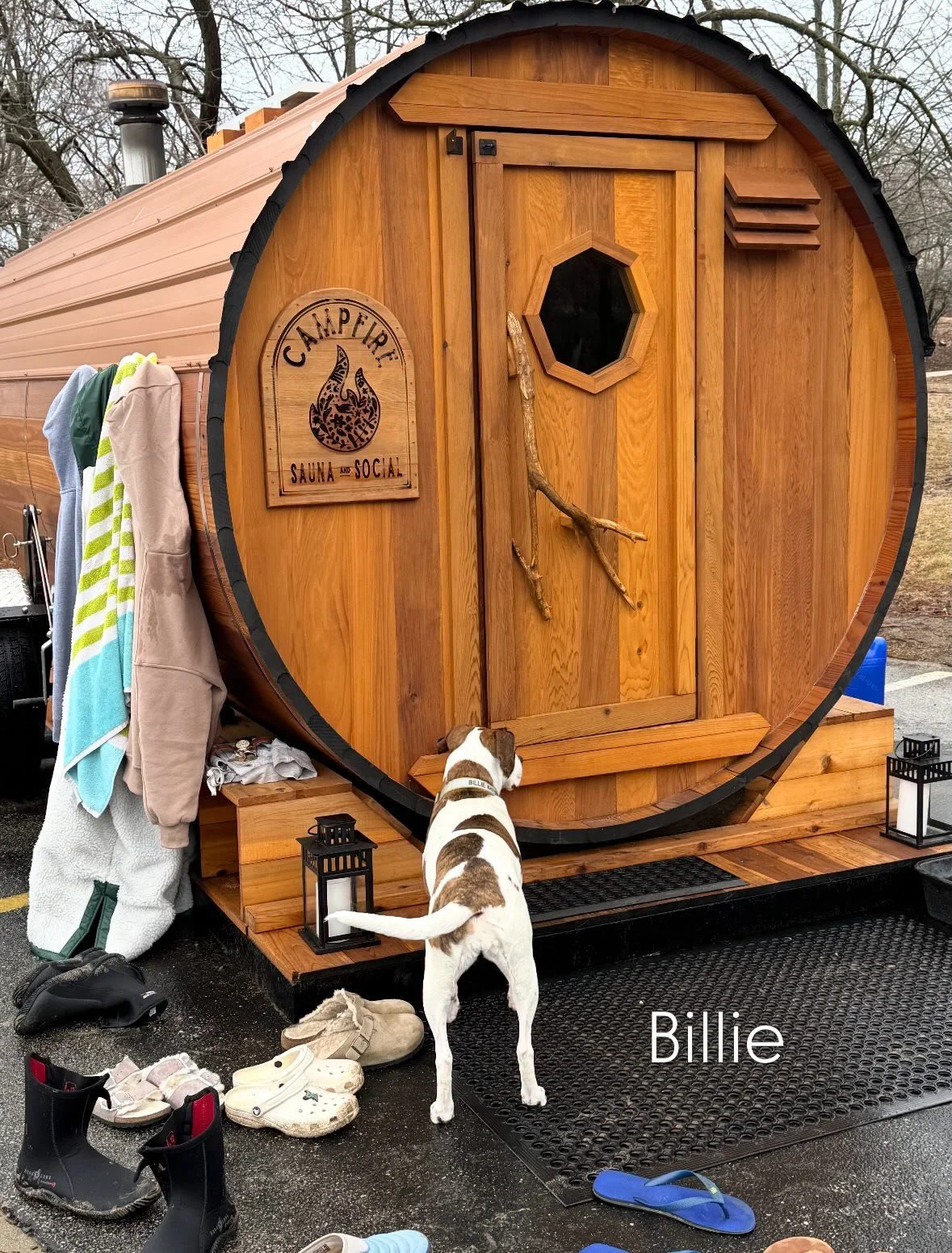 Dogs 🐾 of Campfire Sauna ❤️