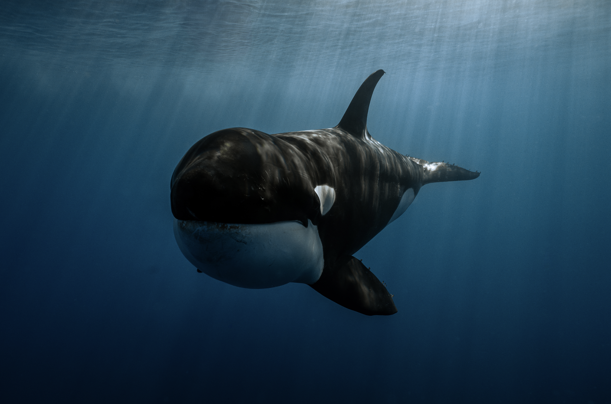 Screenshot 2026-01-07 at 3.29.25 PM.png