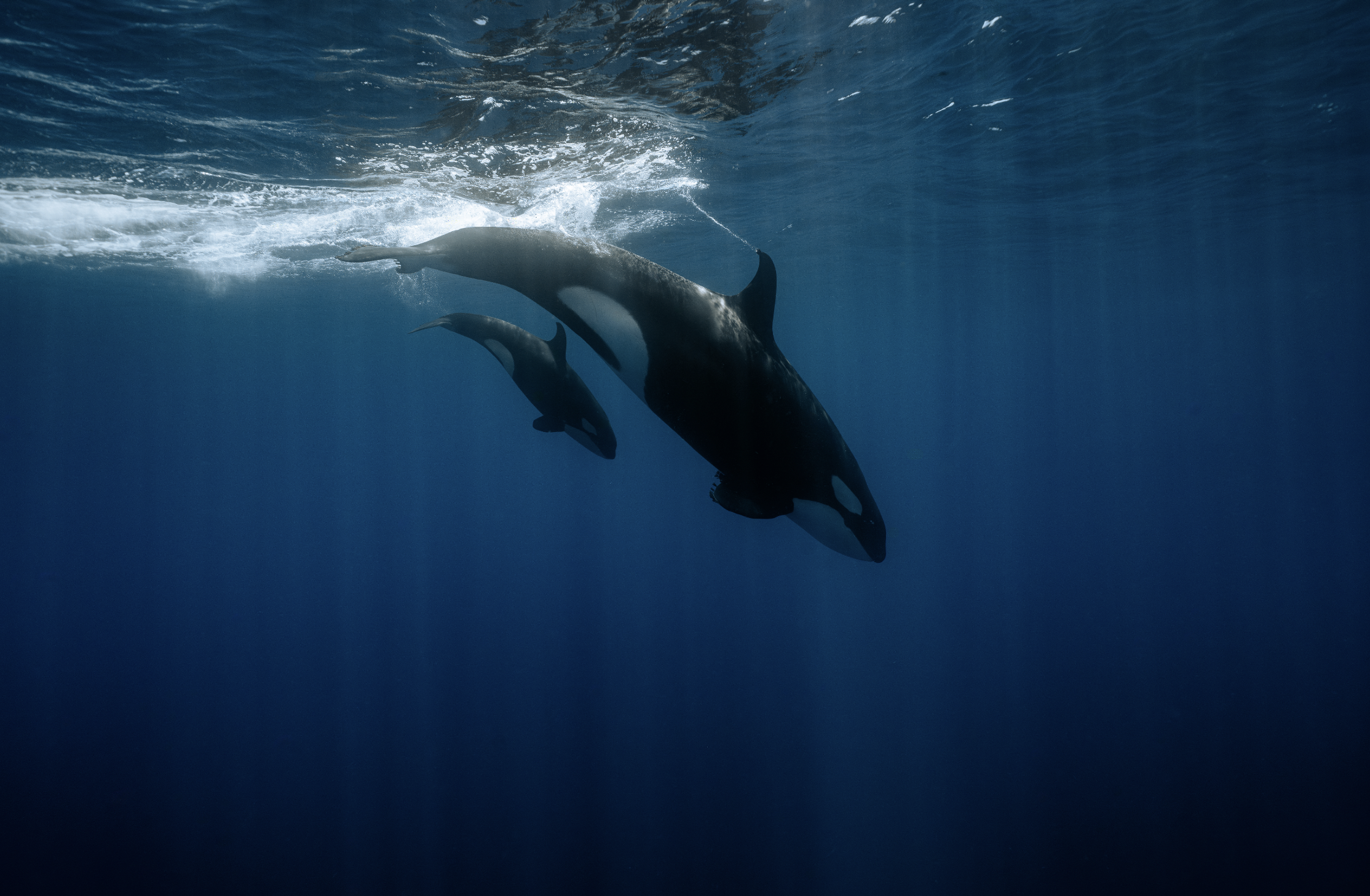 Screenshot 2026-01-07 at 3.30.36 PM.png