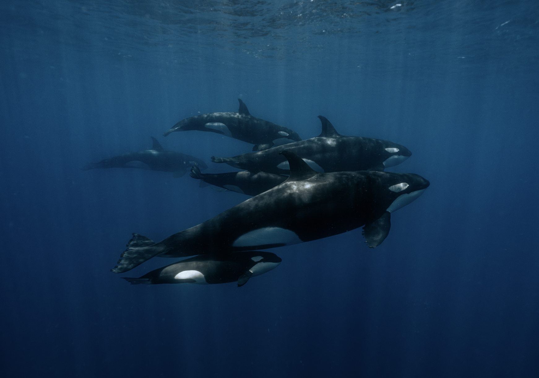 Screenshot 2026-01-07 at 3.31.27 PM.png