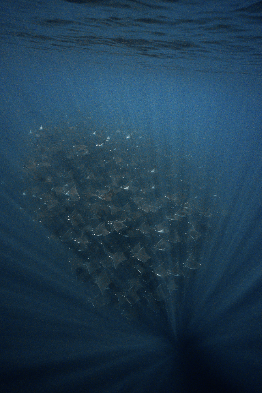 Screenshot 2026-01-07 at 3.44.11 PM.png