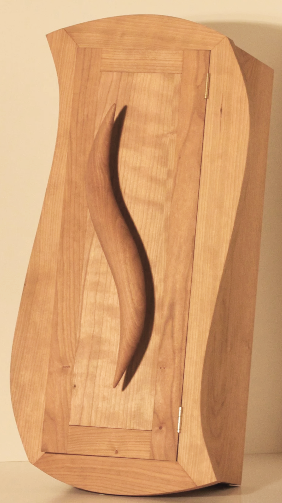 Custom S Shaped Hinged Door Cabinet