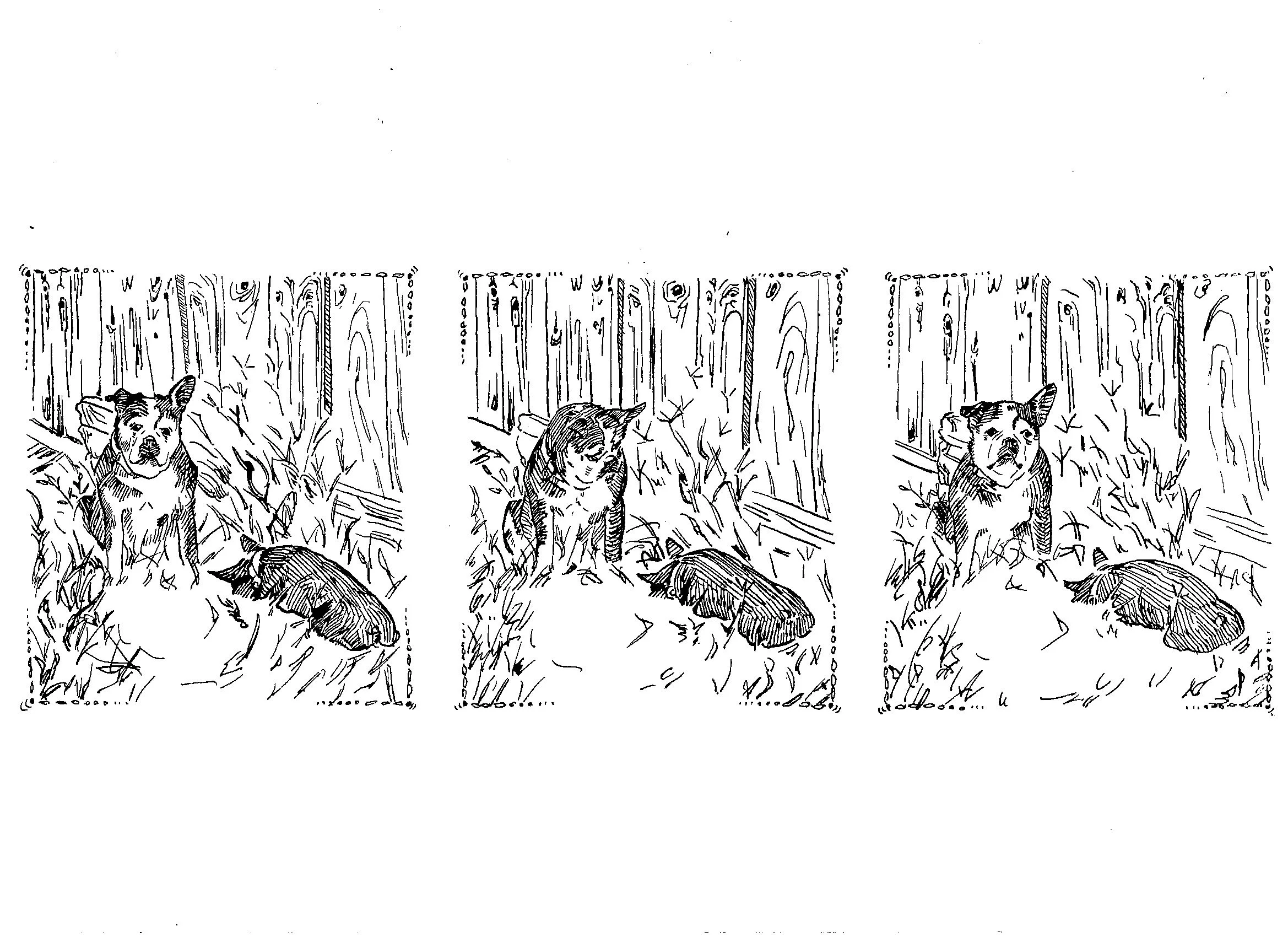 Penny and Babe, Dip Pen, 9"x12", Winter 2024