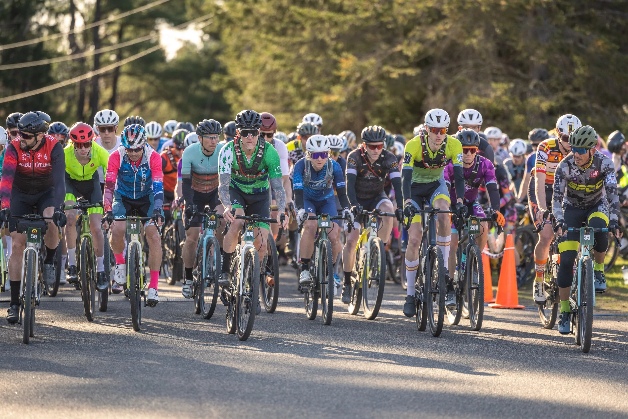 Hungry Bear 2025-9075 (4).jpg