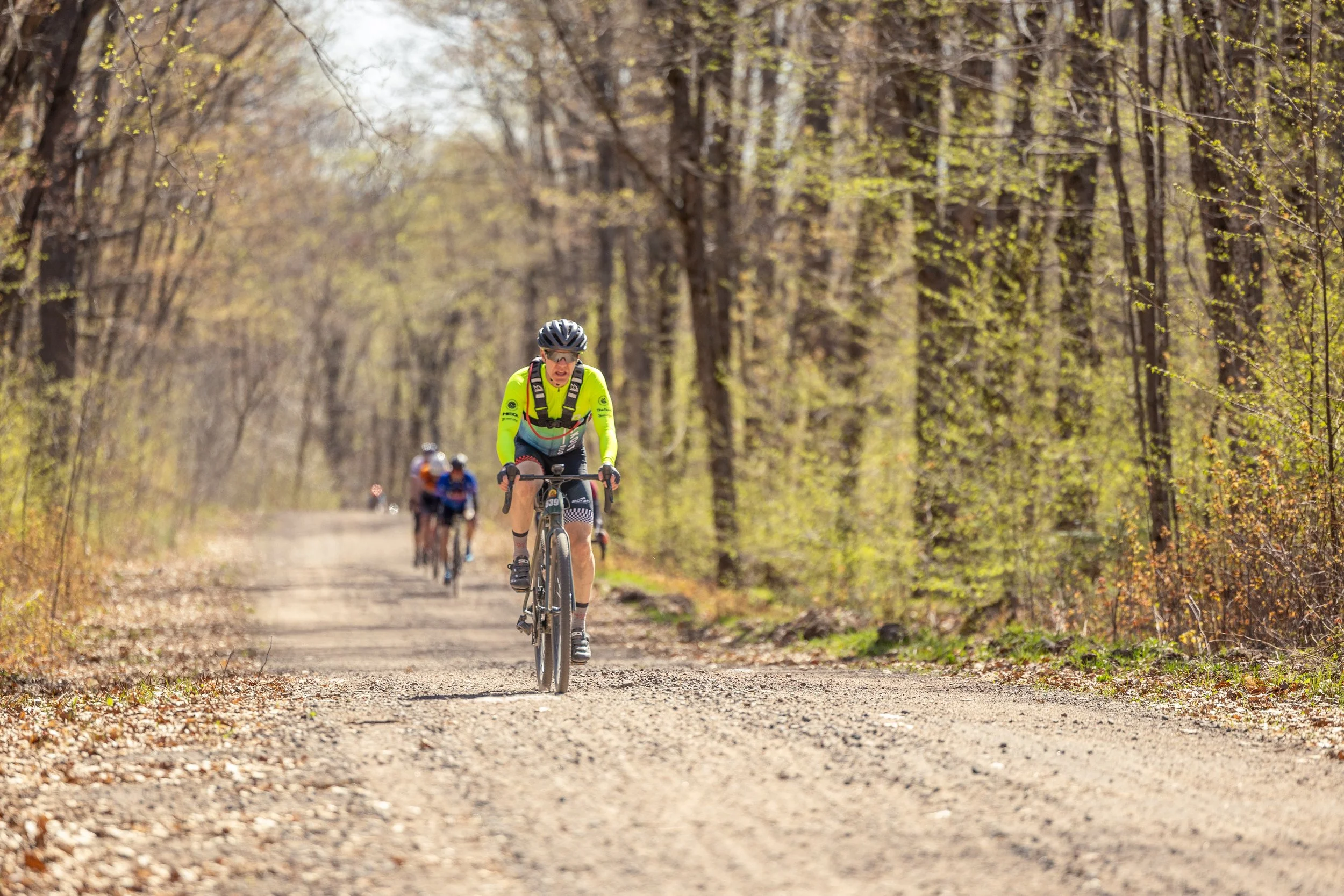 Hungry Bear 2025-9485.jpg