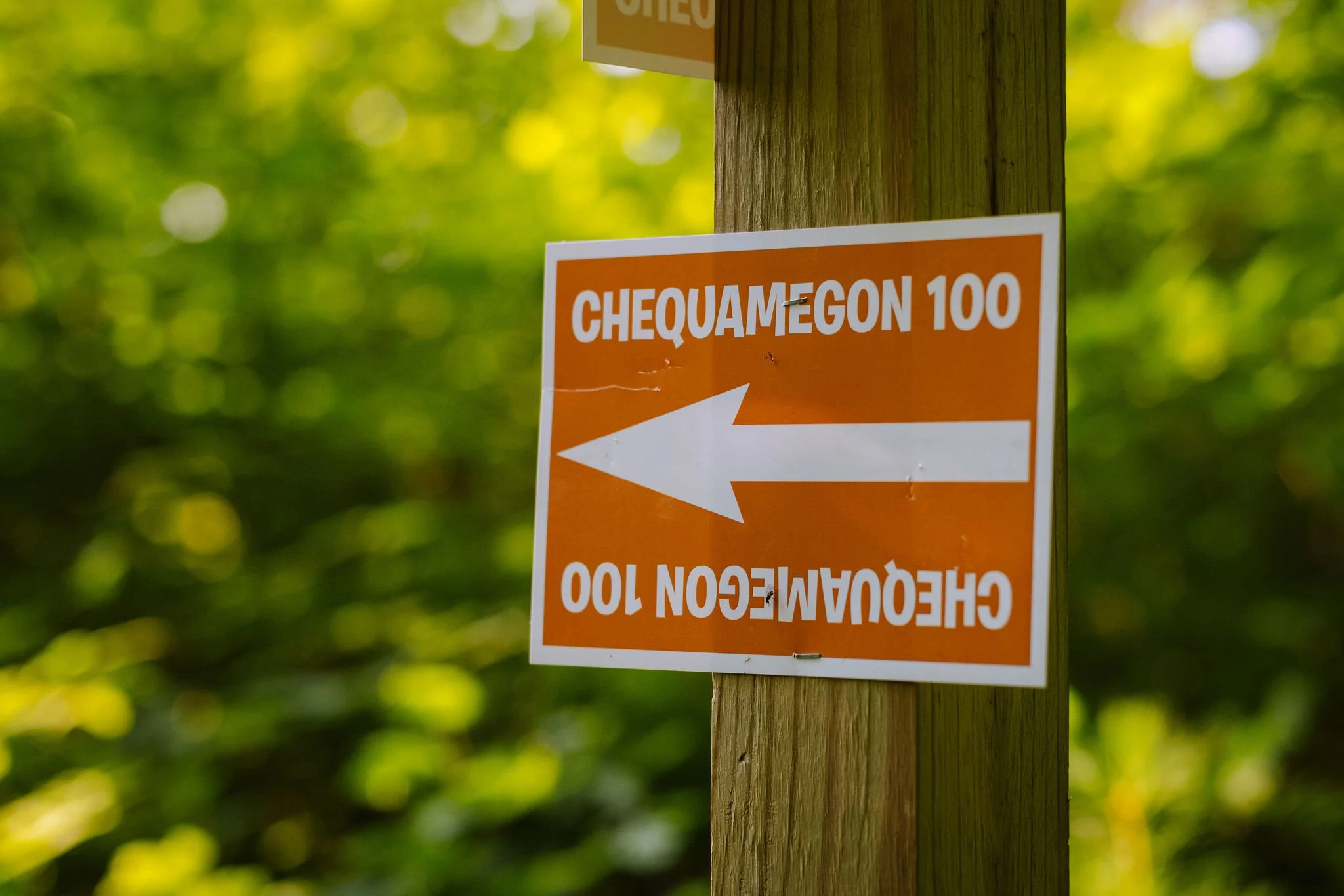 C1002024-12 (1).jpg