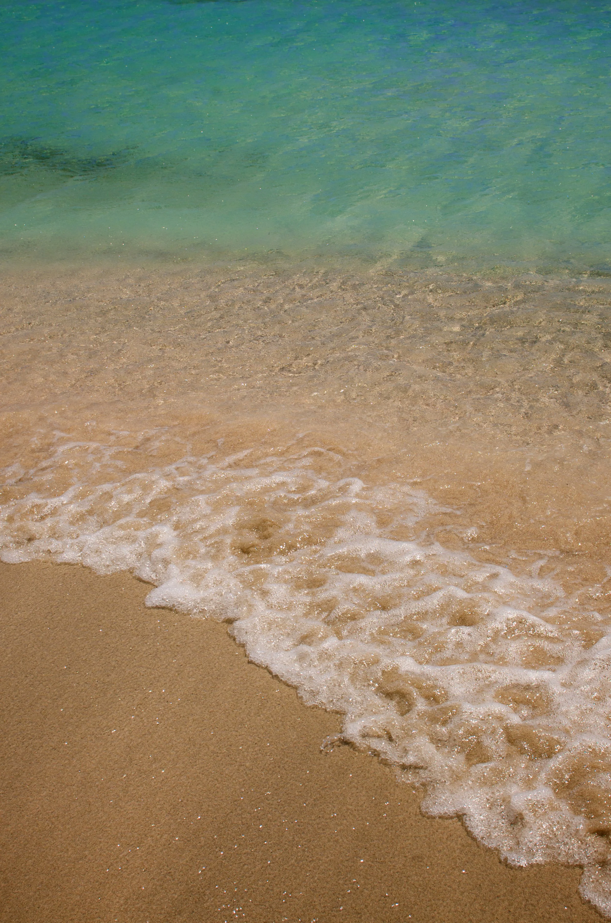 seashore001.jpg