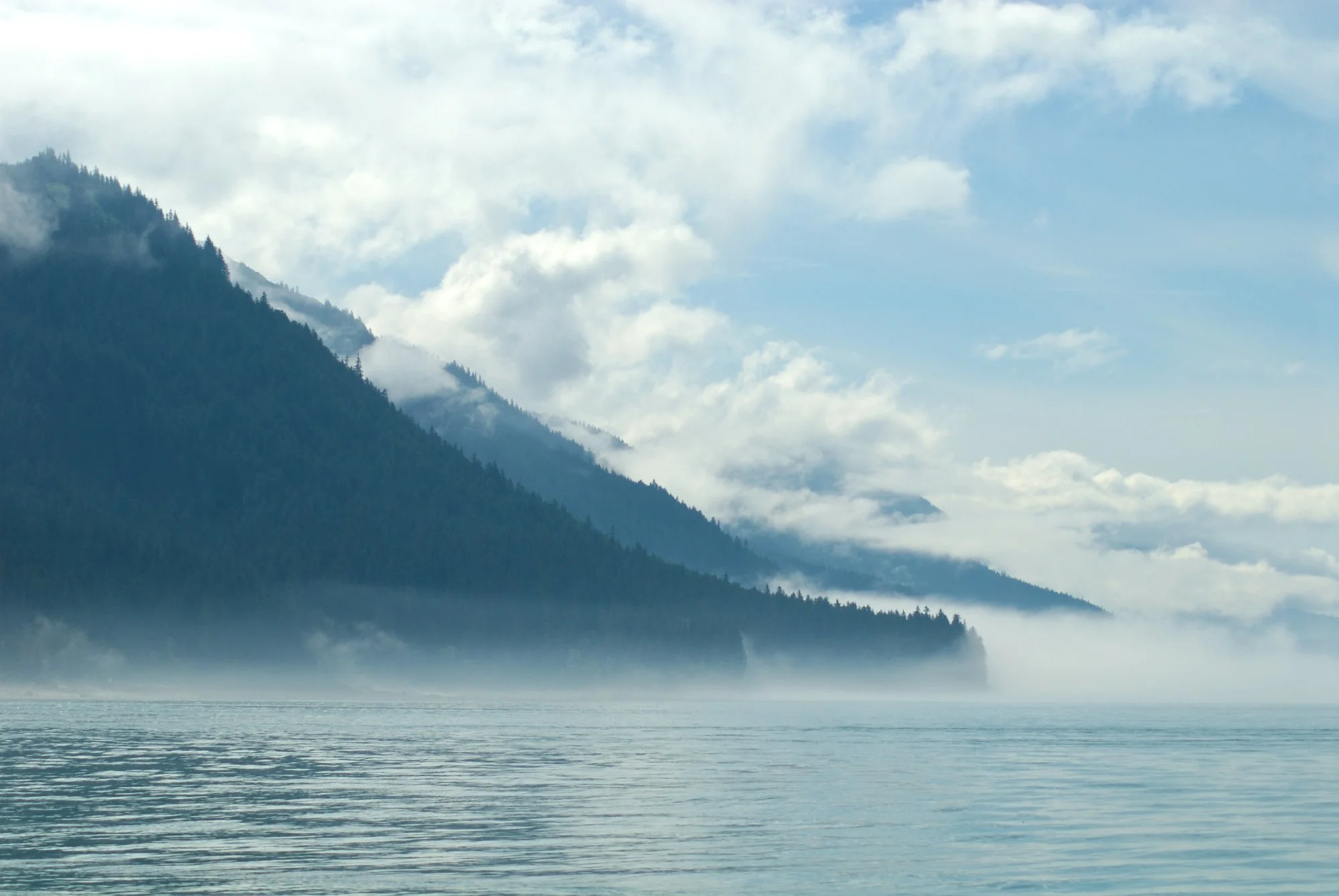 Alaska Fog.jpg
