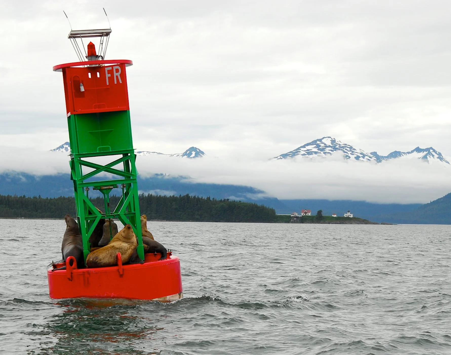 Alaska Buoy.jpg
