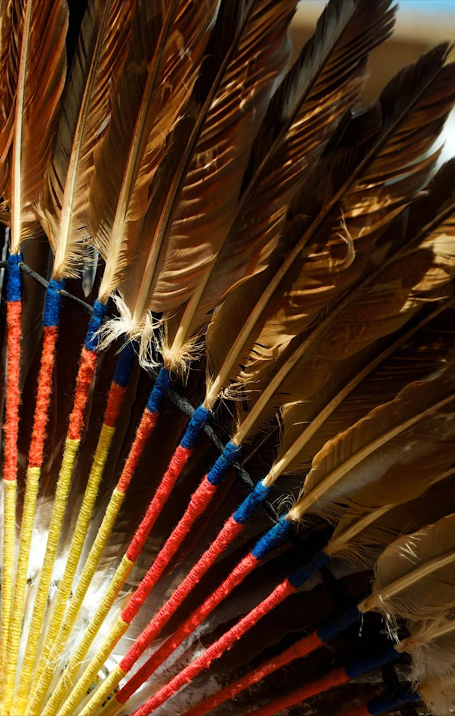 Colorful Feathers.jpg