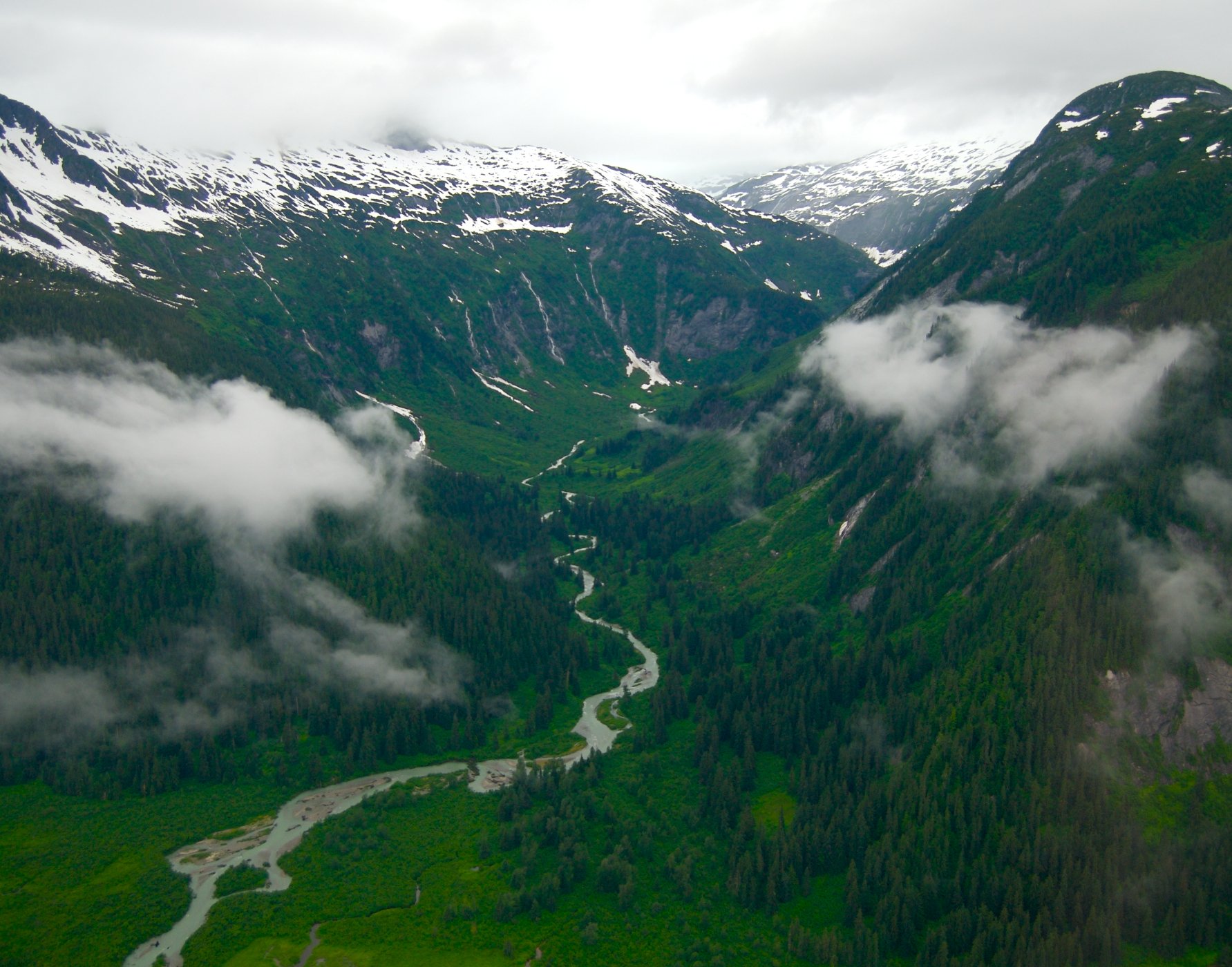 Alaskas Green Mountains.jpg