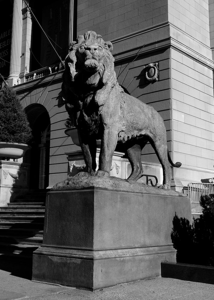 sofiachicago 023.jpg