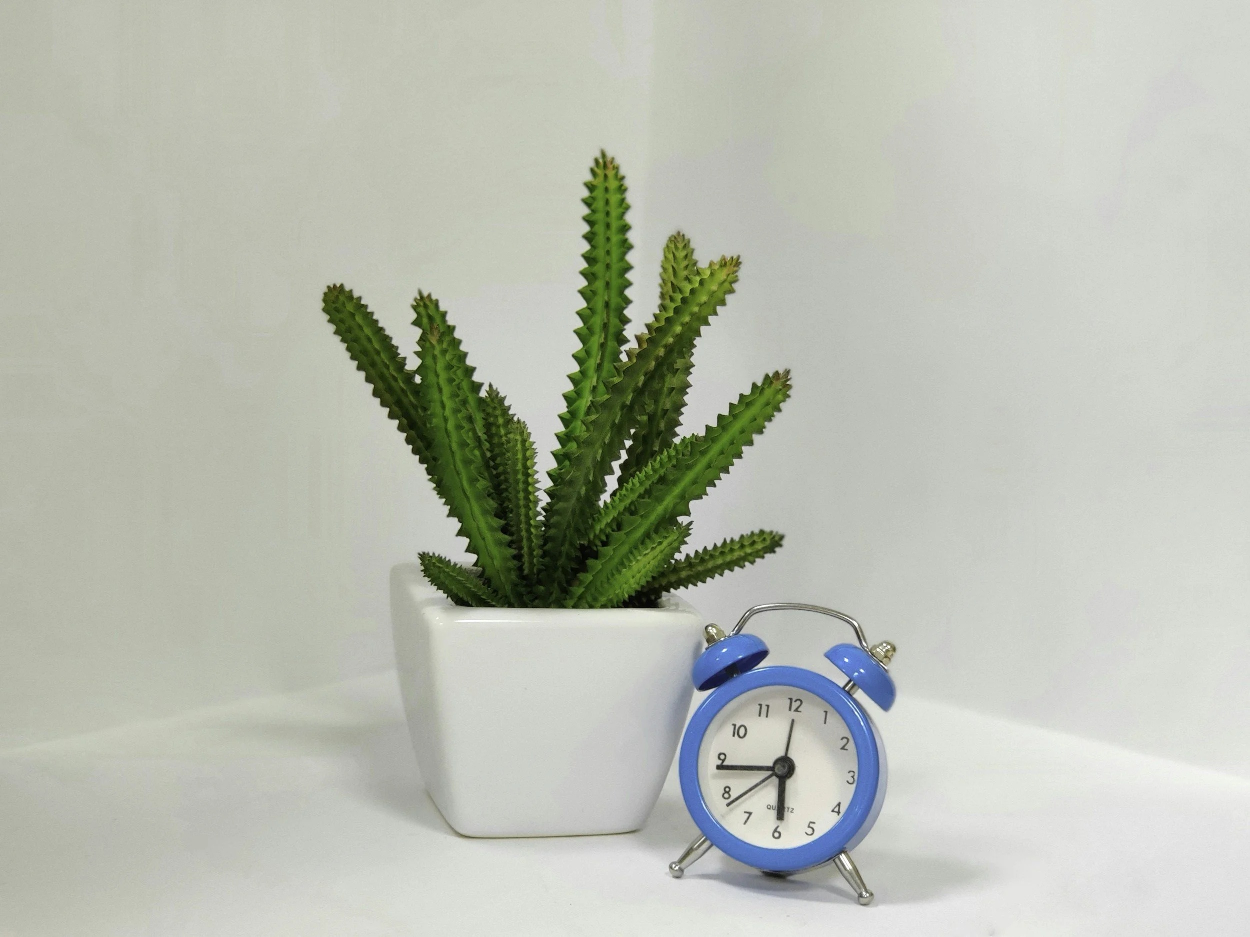 Plant and clock representing growth and time management tools for ADHD from counseling