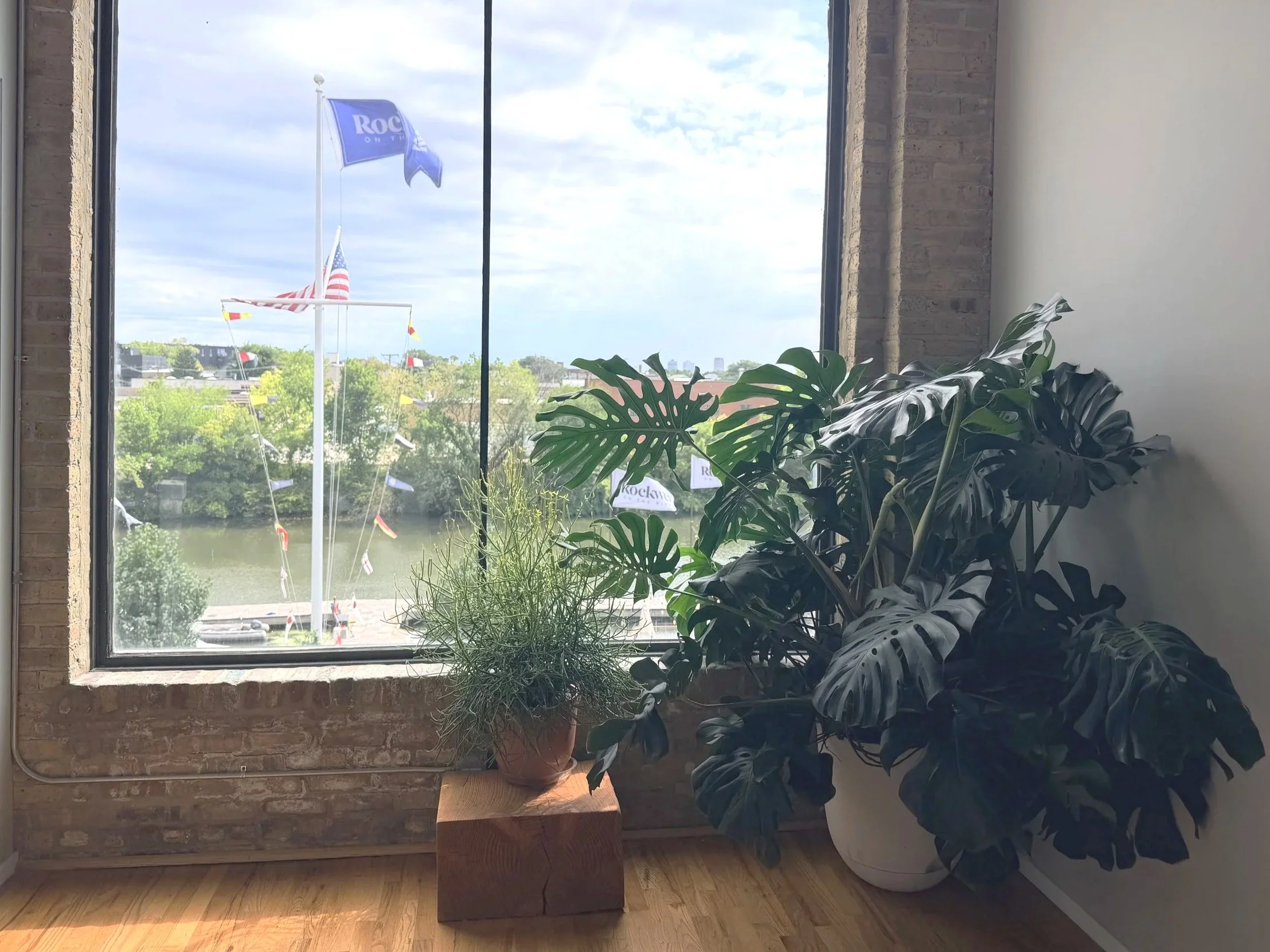 Plants and river view from Rockwell on the River therapy offices