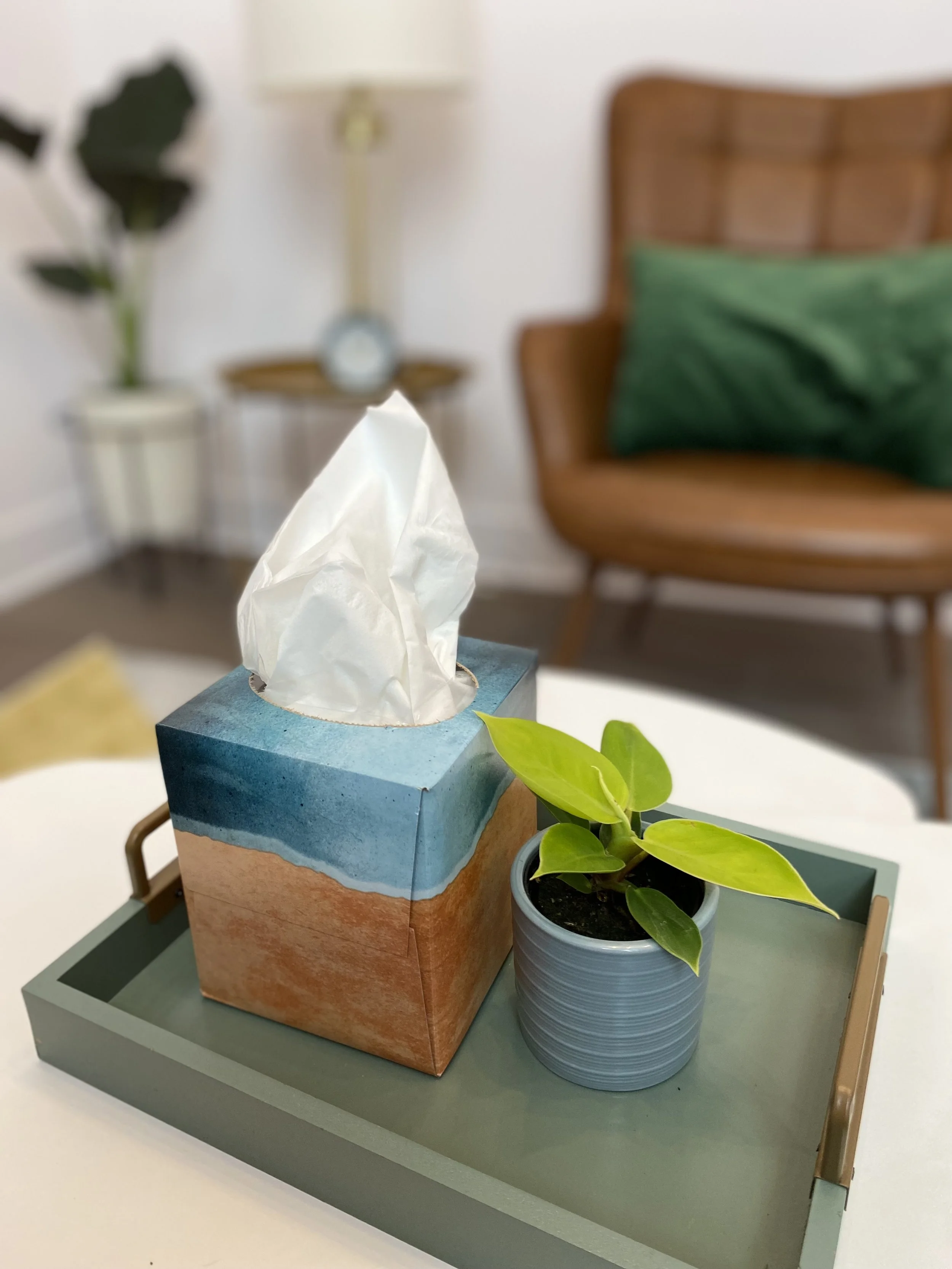 Tissues and a plant showing growth and emotional processing often done in therapy in Logan Square.