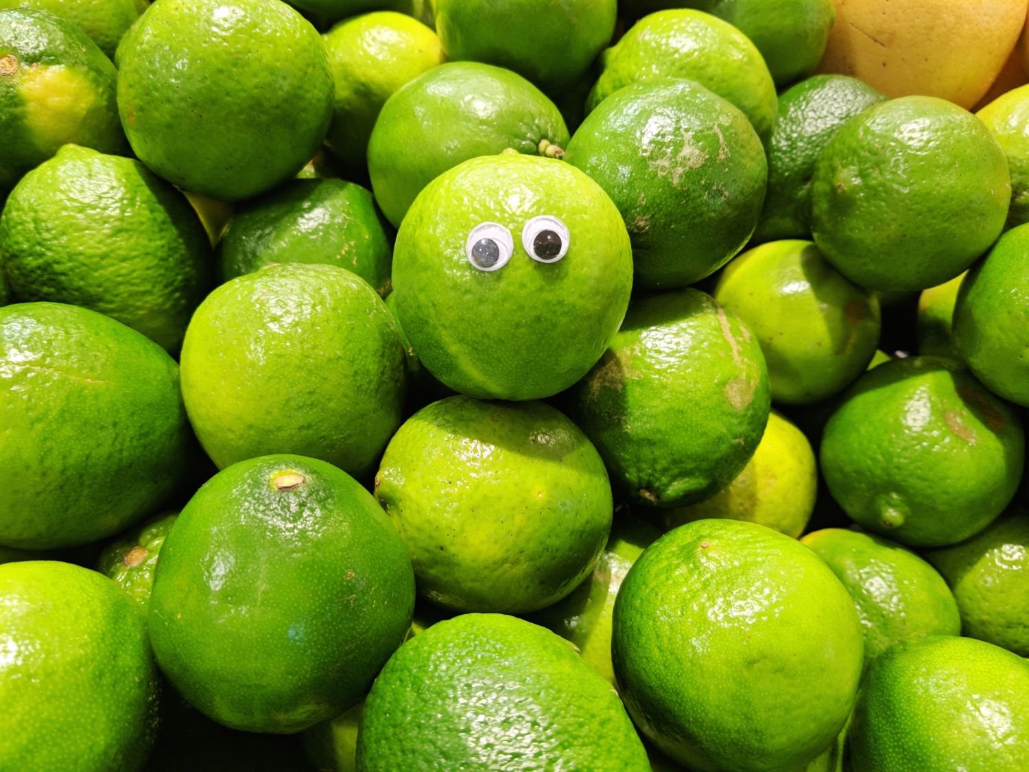 Eyebombing-101-Googly-Eye-Guerrilla-Art-Uncustomary-2.jpg