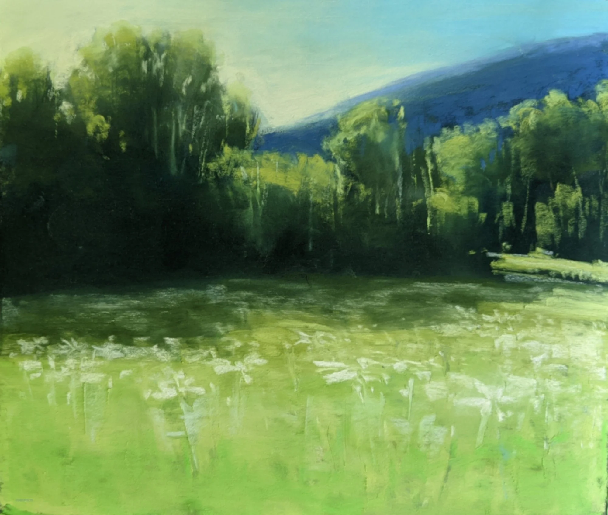 green meadow,deep shadows, daisy field