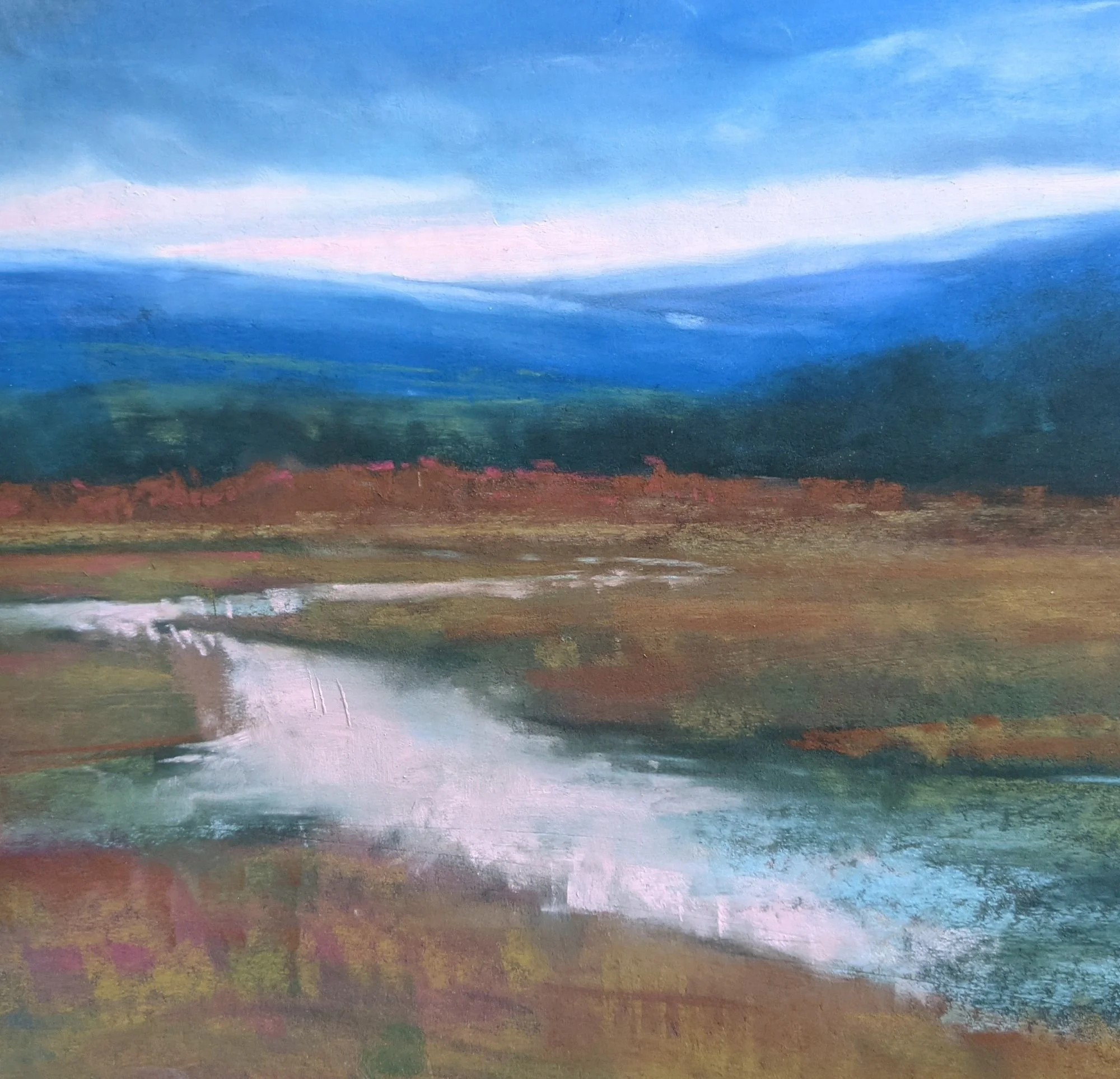 marshlands, mountains and marsh, disappearing wetlands