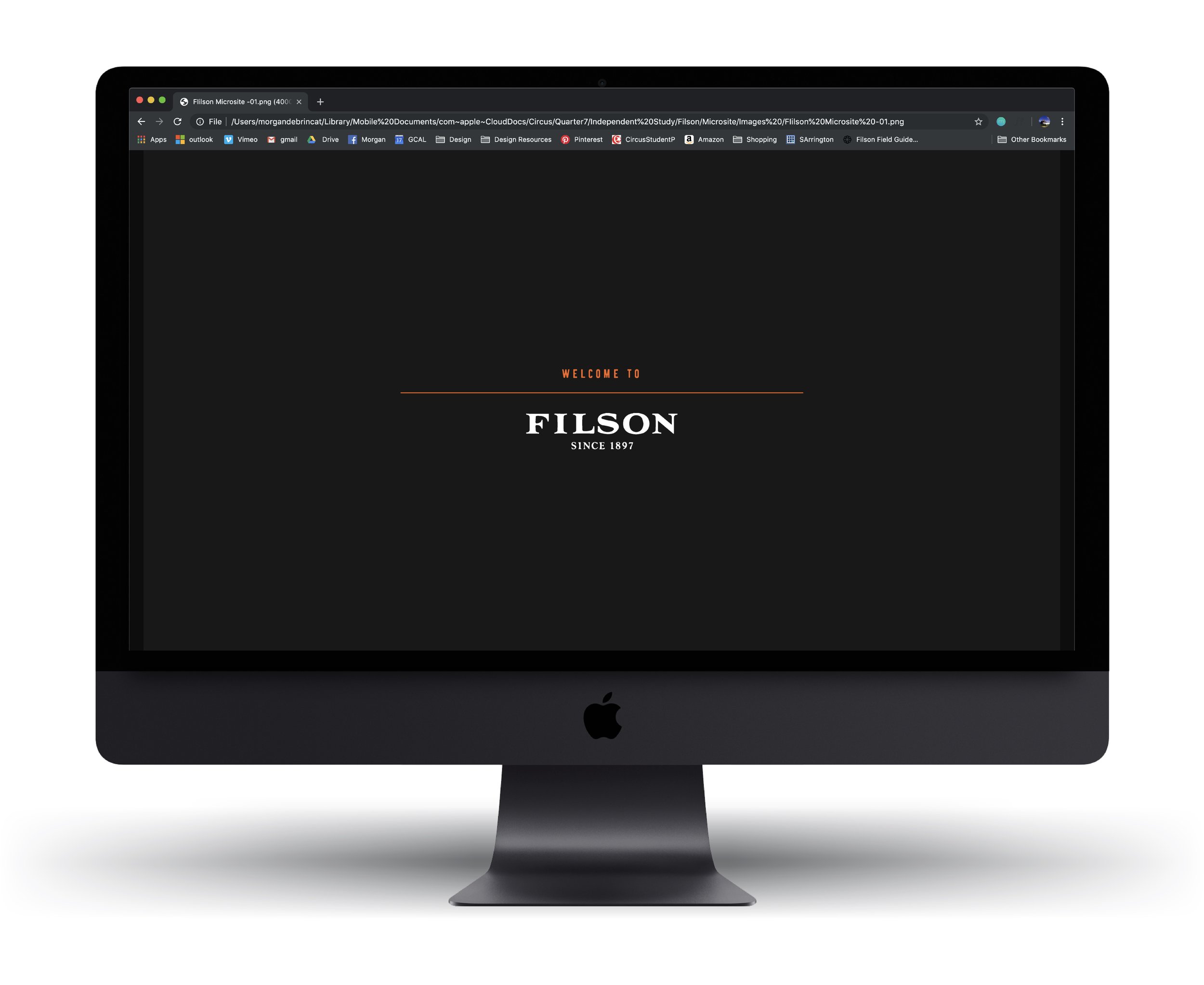FIilson-Microsite--08.jpg
