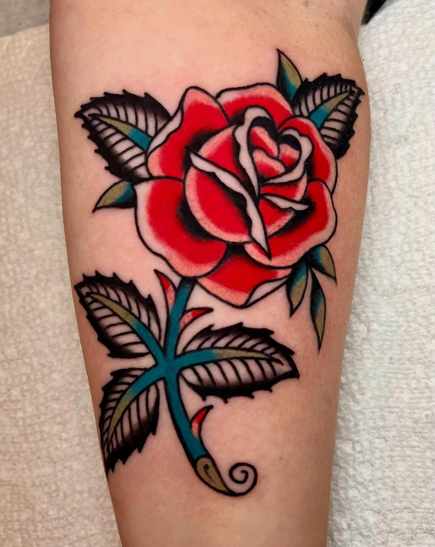 rose for erica. thank you always!