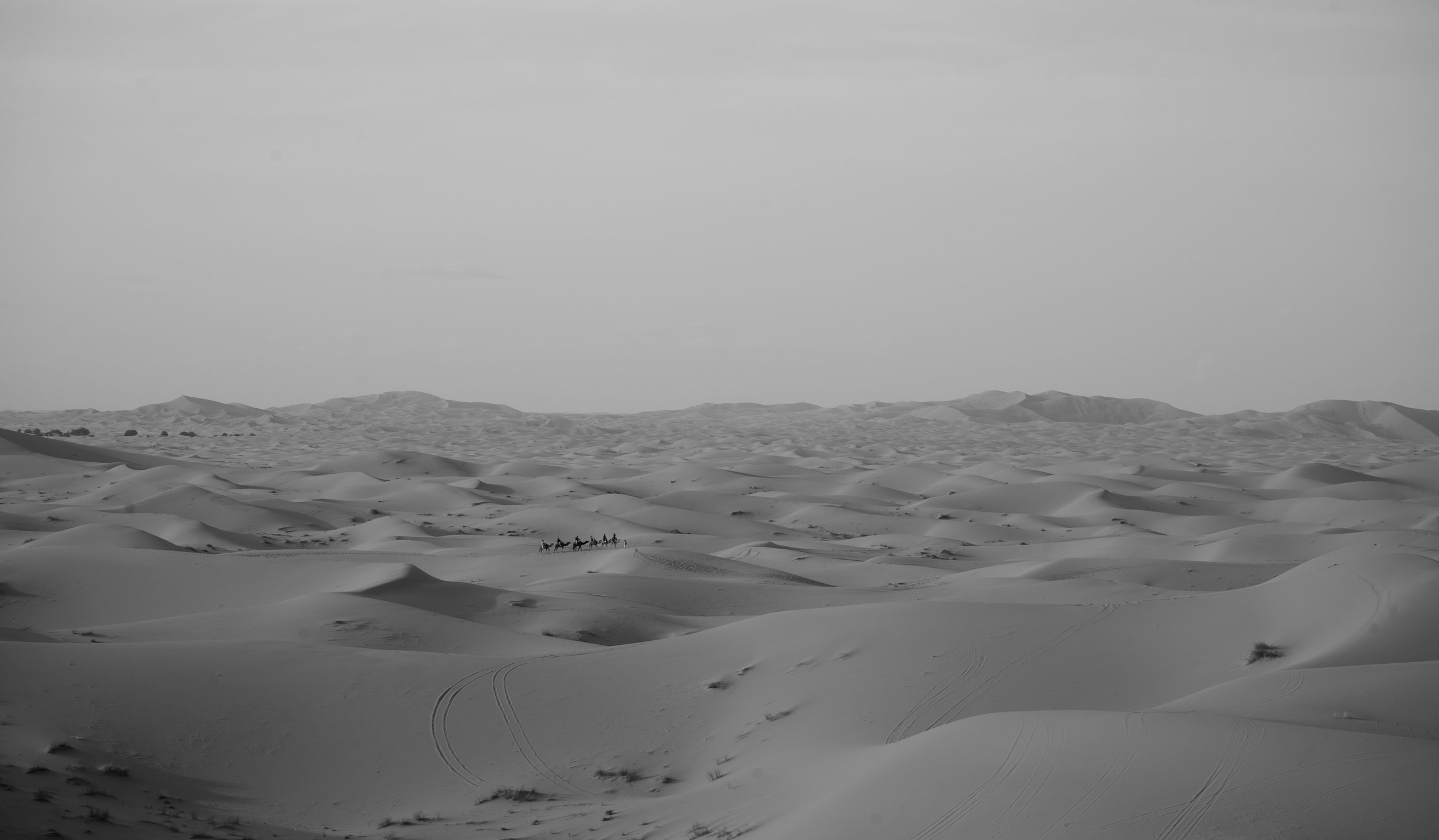 Southern Morocco March 2022