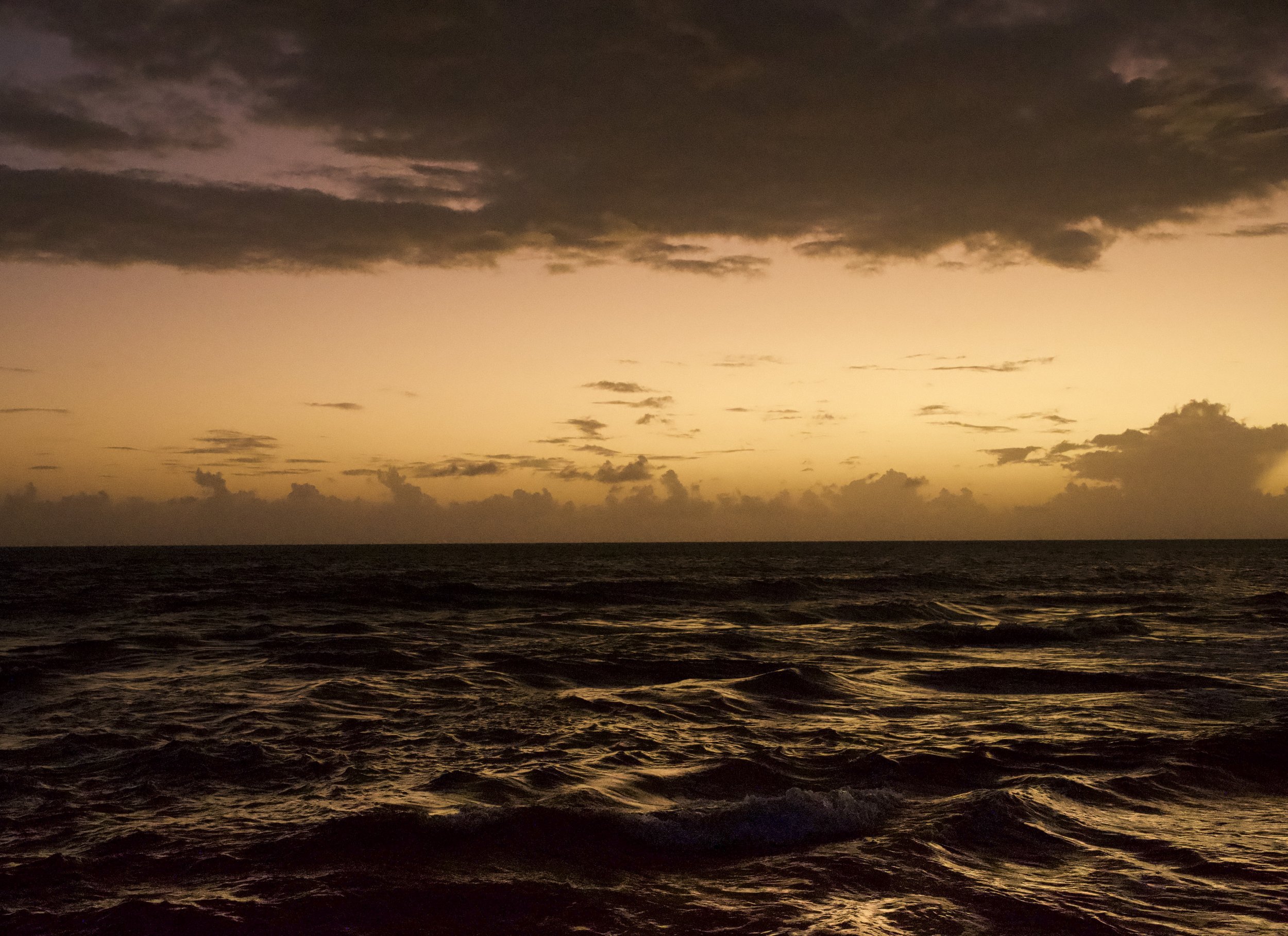 Frenchman, Jamaica December 2024