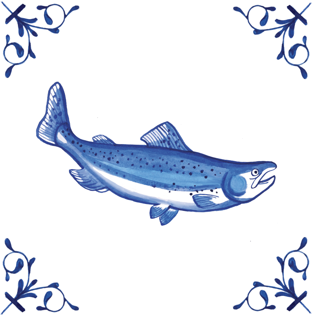 Salmon 4X4 tile