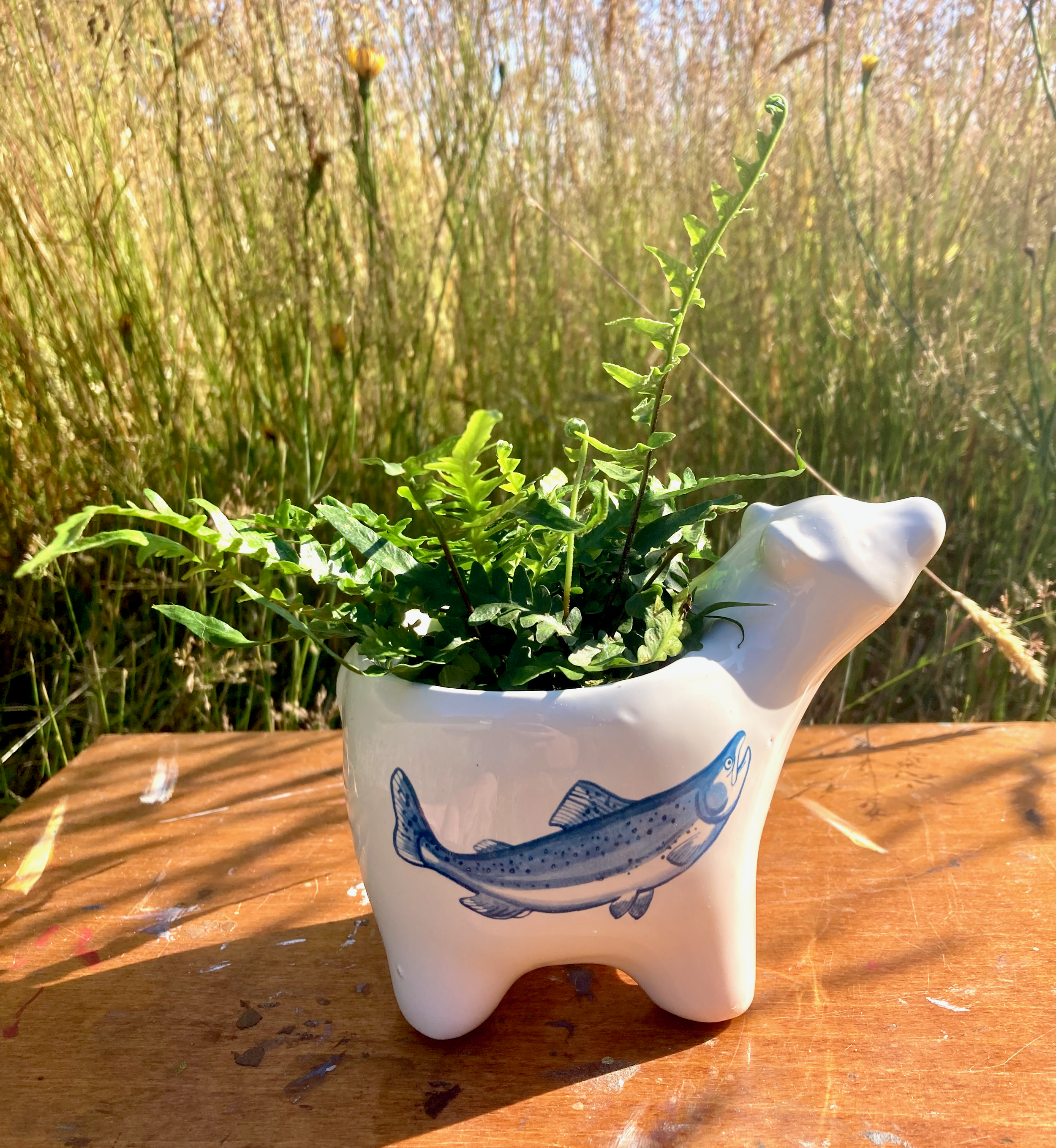 Salmon Bear Planter