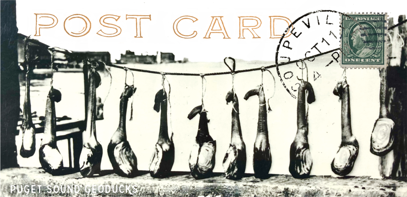 Screenshot 2025-08-21 at 11.18.19 AM.png