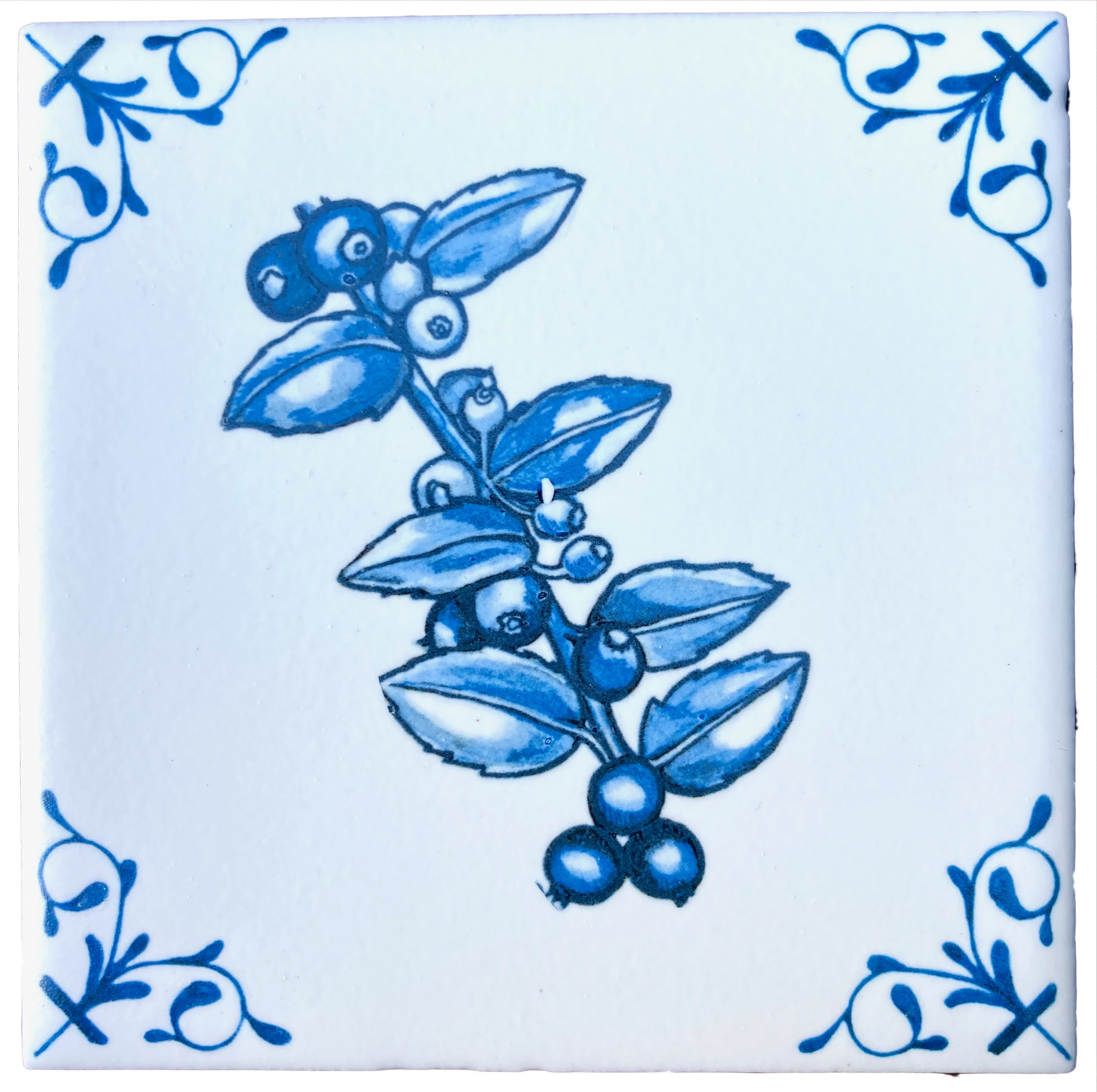 Evergreen Huckleberry 4 X 4 tile