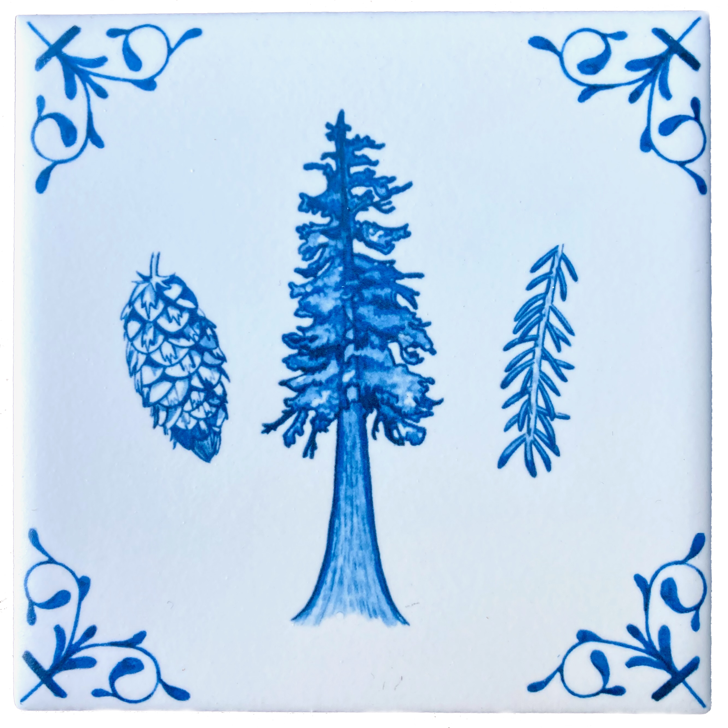 Douglas Fir 4X4 tile