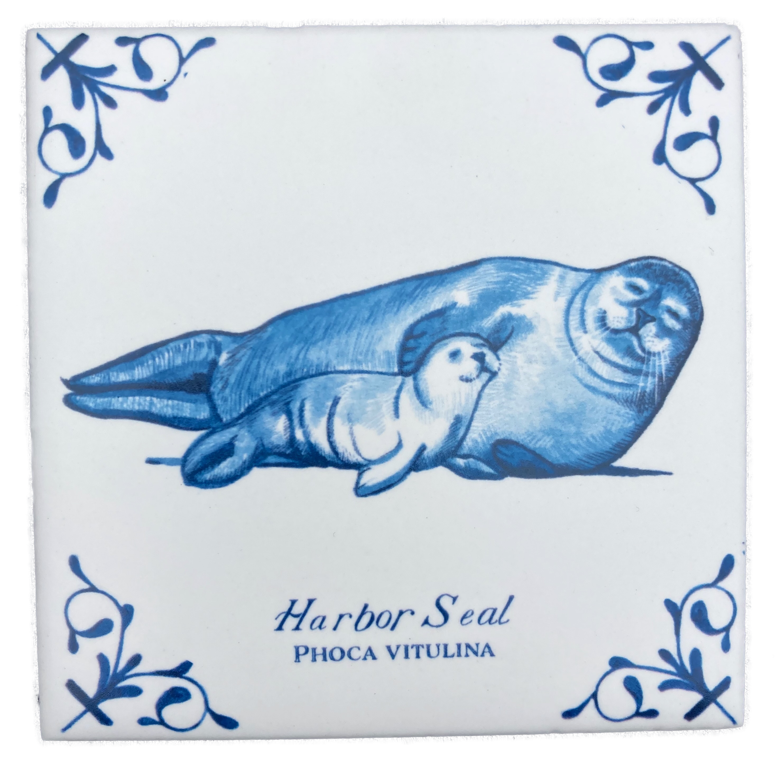 Harbor Seal plus words 4X4 Tile
