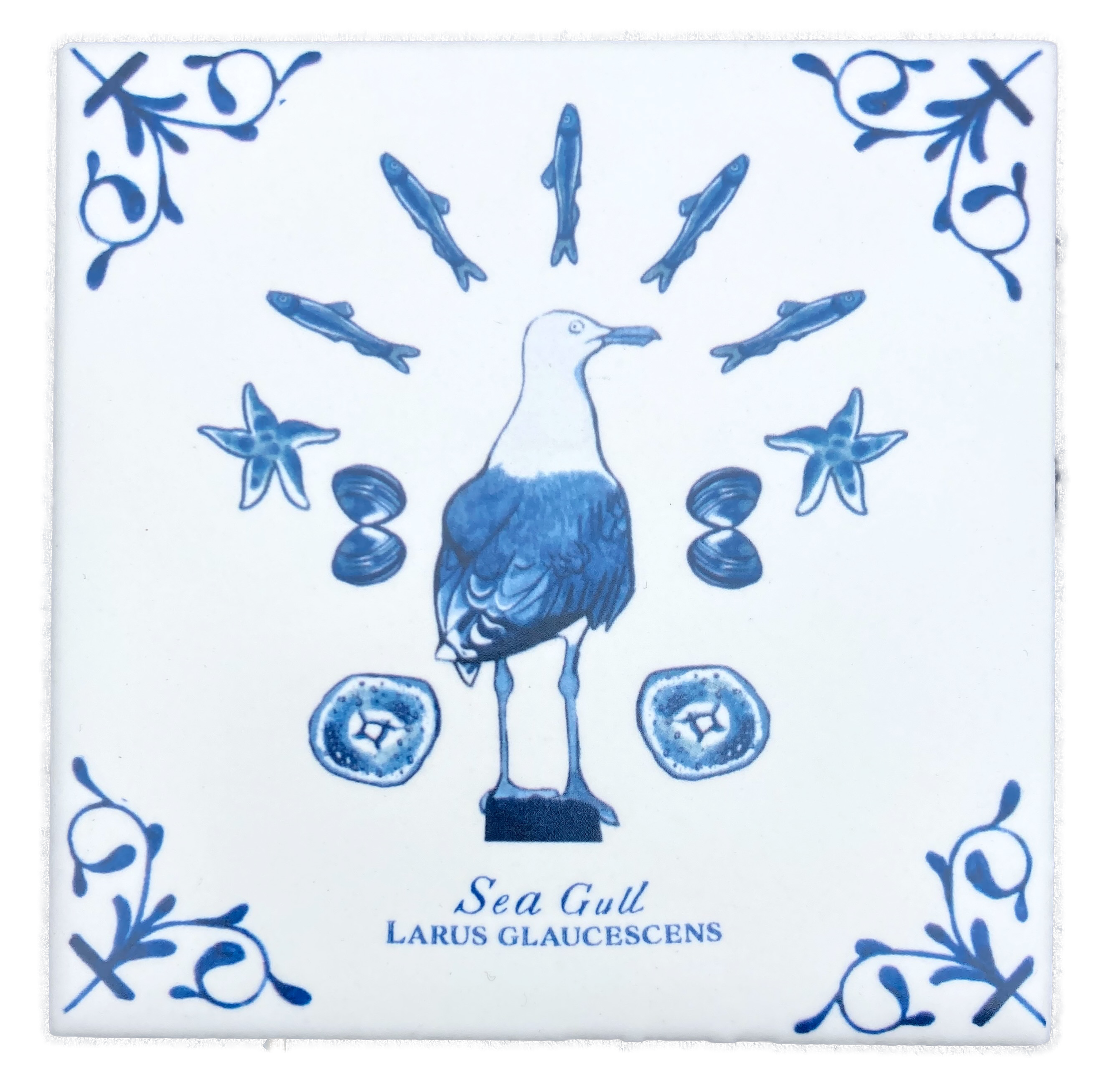 Sea Gull plus words 4X4 Tile