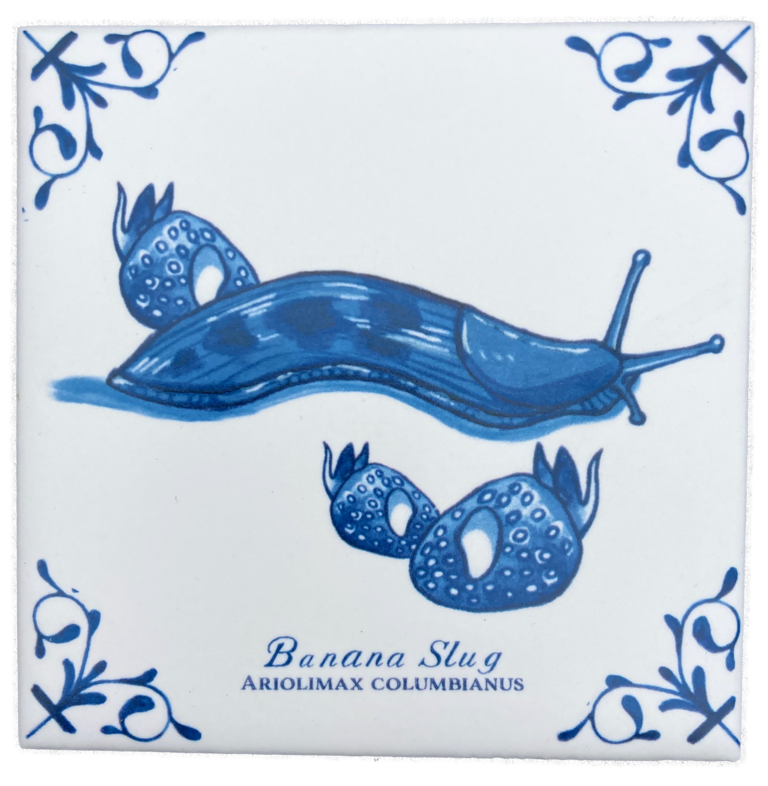 Banana Slug plus words 4X4 Tile