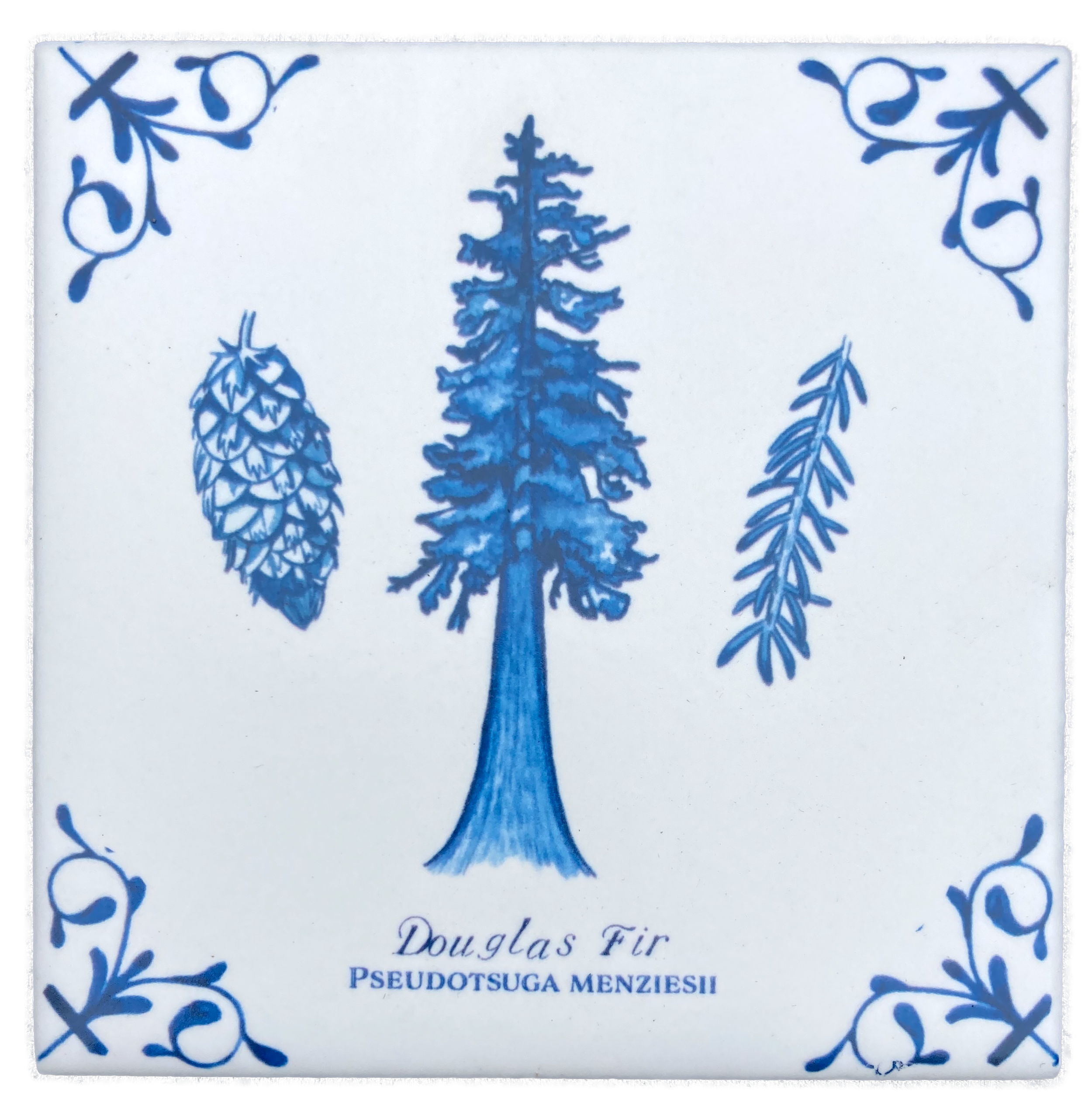 Douglas Fir plus words 4X4 Tile