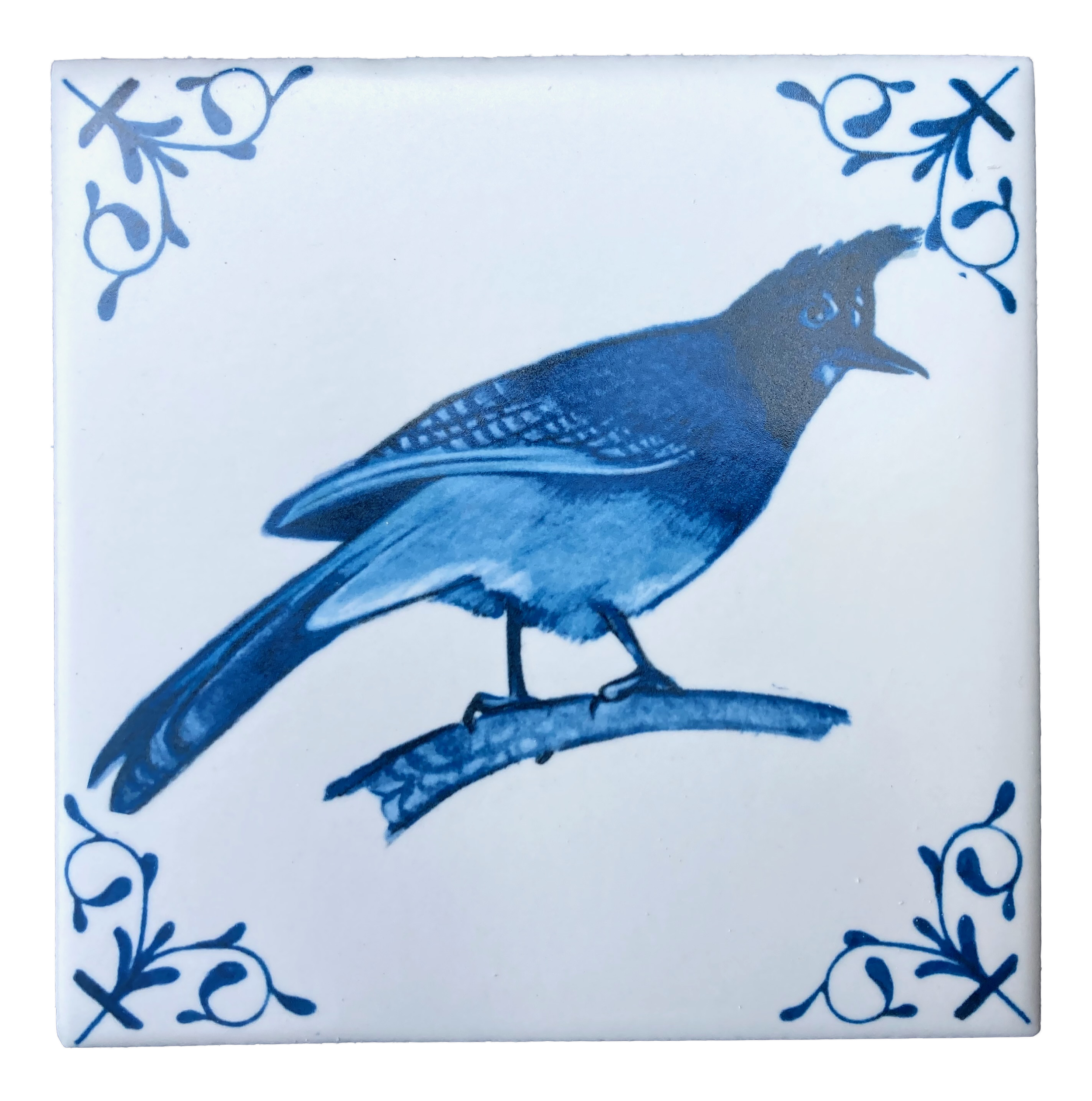 Steller's Jay 4X4 Tile