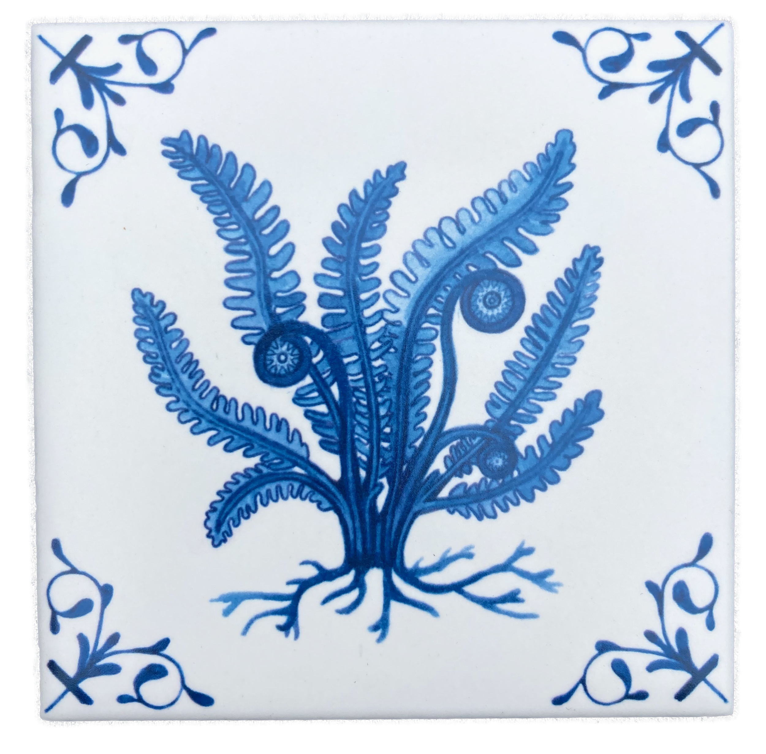Deer Fern 4X4 Tile